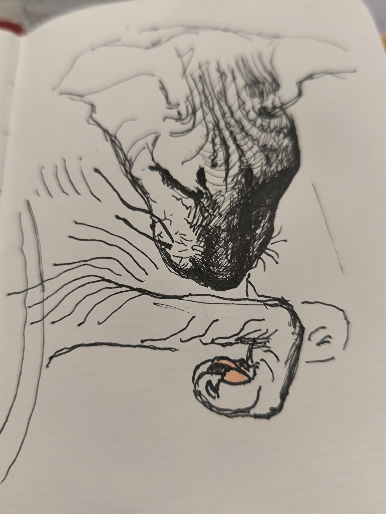 The image is a close-up, slightly blurry, sketch on a notebook page, depicting the head and paw of a cat, possibly a Sphynx breed due to its wrinkled appearance. The cat's head is tilted downwards, with its face partially obscured by its paw. The sketch is primarily in black ink, with a small, distinct patch of orange coloring on what appears to be the cat's nose or mouth area. The background is a plain, off-white surface, consistent with the paper of a sketchbook. There is no visible indication of the location in Novosibirsk, Russia, or any environmental context beyond the sketchbook itself.