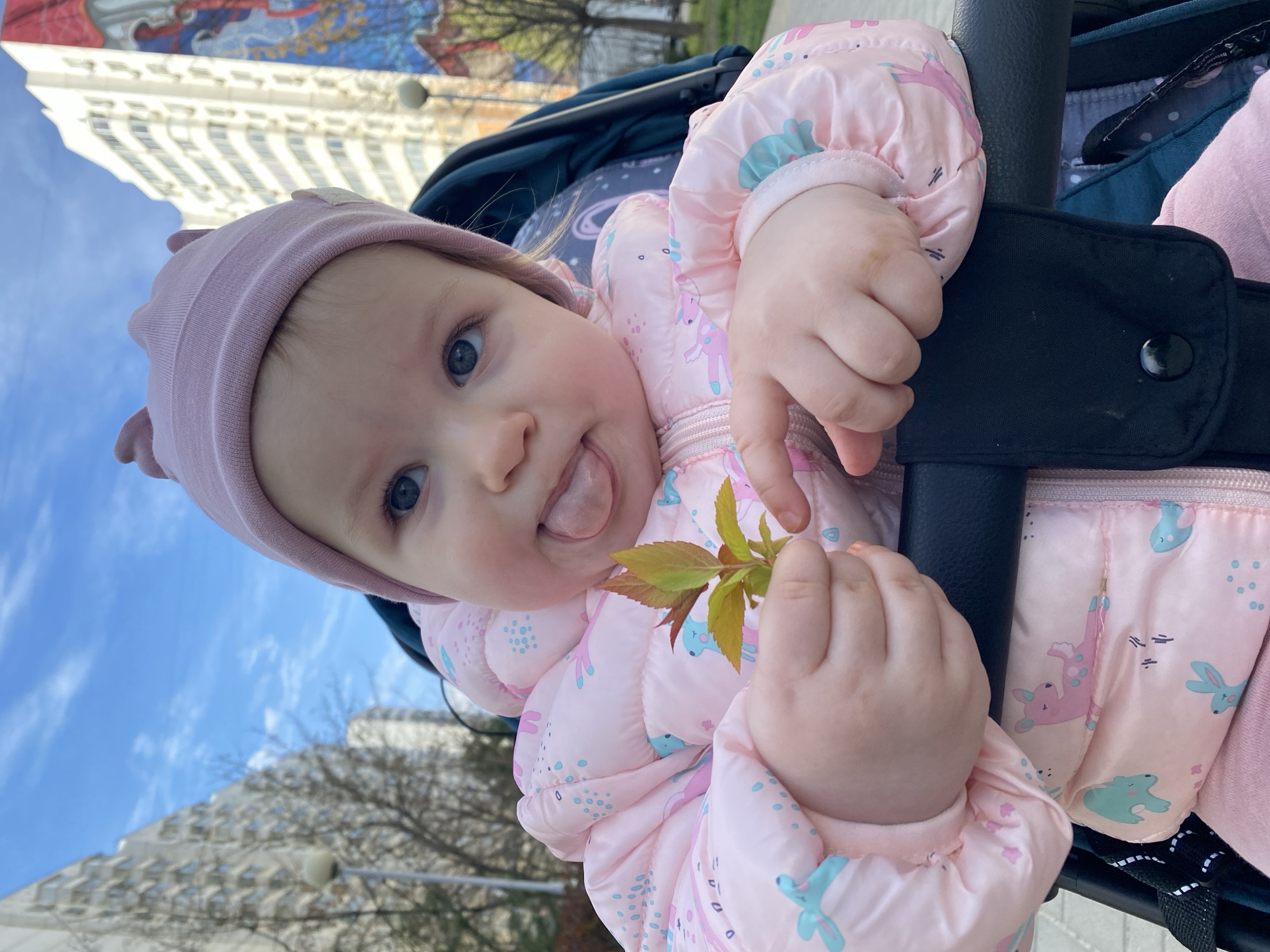 A baby is in a stroller. The baby is wearing a pink hat and a pink jacket with a blue and pink pattern. The baby is holding a small branch with green leaves. The baby is sticking out its tongue. The background shows a blue sky with white clouds, and a building. The city is Unknown, Unknown.