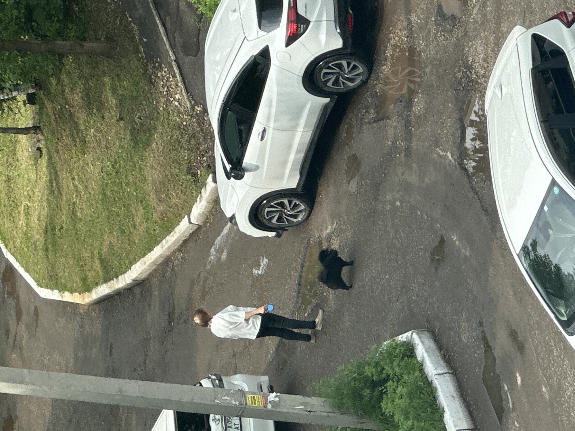 A woman with reddish-brown hair, wearing a white shirt and black pants, stands on a paved surface holding a blue leash attached to a small black dog. The dog is positioned between the woman and a white SUV parked on the right side of the frame. The paved area contains several puddles and a lighter-colored curb bordering a grassy area with trees in the background. A portion of another white vehicle is visible on the left side of the frame, partially obscured by a light-colored pole. The scene appears to be an outdoor residential area, likely in the city of Birobidzhan, Russia, given the context.