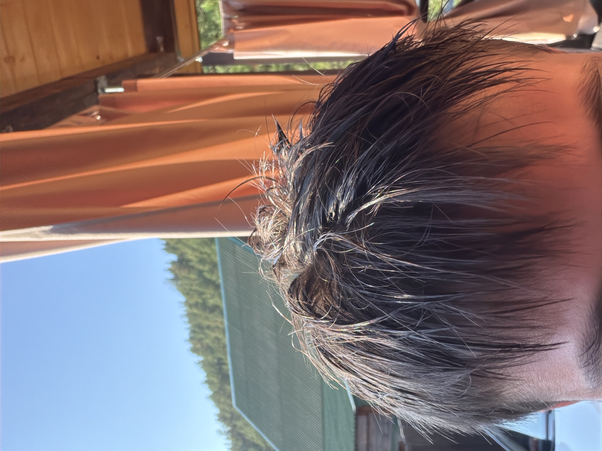 The image shows a close-up of the top and front of a person's head, with their dark, wet hair prominently displayed. The hair appears somewhat disheveled, with individual strands sticking out. The person's forehead and the side of their head are visible. In the background, there are several elements: a large expanse of bright blue sky, a row of green trees on a slope, and the roof of a green building. There are also orange fabric drapes, possibly from an outdoor canopy or shelter, and wooden structures that suggest an outdoor setting, possibly a recreational area or a home in a rural or forested location. The lighting indicates it is daytime, likely sunny. The overall setting suggests an outdoor environment, potentially in or near Elekmonar, Russia, given the presence of coniferous trees commonly found in Siberian regions.