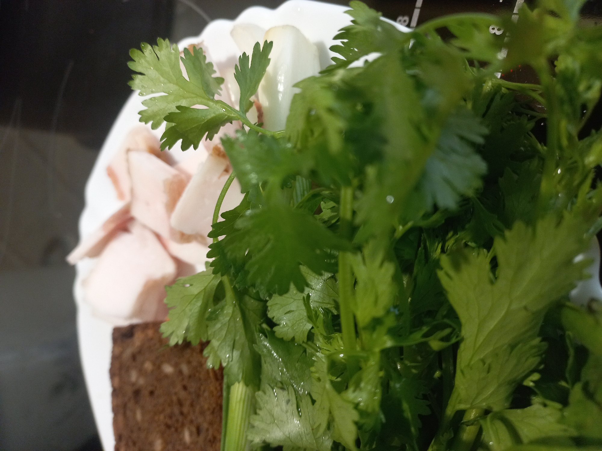 On a white plate rests a slice of dark bread, several pieces of what appears to be lard or fatback, a few peeled cloves of garlic, and a bundle of fresh cilantro. The plate is positioned on a dark surface, possibly a kitchen counter. The scene suggests a simple meal preparation, possibly a traditional Ukrainian snack involving lard, garlic, bread, and fresh herbs. This scene can be associated with Kyiv, Ukraine, given the prevalence of lard, garlic, bread, and cilantro in Ukrainian cuisine.