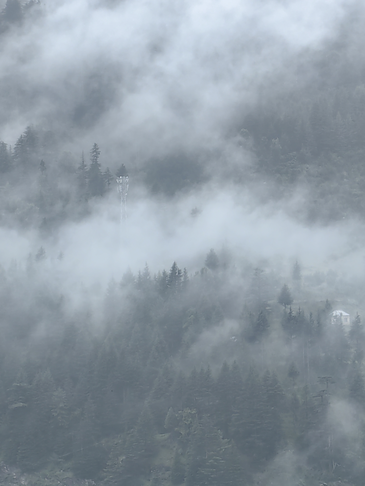 The image captures a misty mountain landscape in Vashisht, India. Dense fog partially obscures a steep, tree-covered slope. A tall telecommunications tower stands prominently amidst the trees, with a small, light-colored building visible further to the right. The trees appear to be coniferous, typical of mountainous regions. The overall atmosphere is subdued due to the heavy fog, creating a sense of depth and mystery. No people or specific actions are discernible in the image.