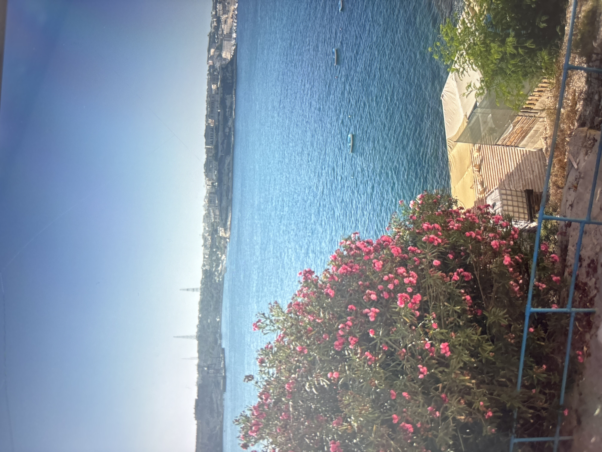 The image shows a coastal scene with a body of water stretching from the foreground to the midground, bordered by a town or city along the left edge. The water has several small boats on it. In the foreground, a bush with pink flowers is visible, and to the right, there appears to be a structure or building partially covered with tarps or fabric. A blue metal railing is present along the right edge of the image. The sky is a clear blue. The location is in an unknown city in an unknown location.