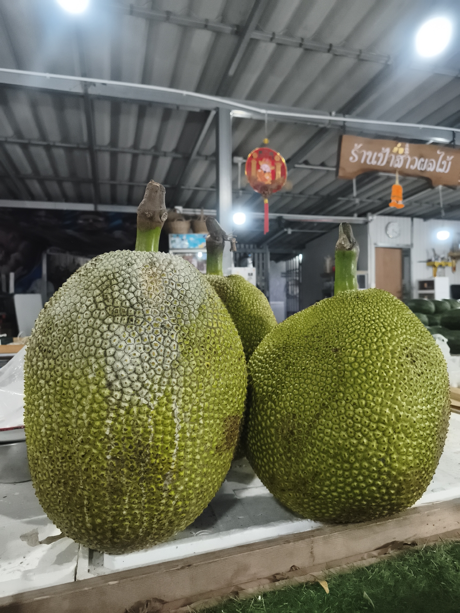 The image shows three jackfruits on a white surface, likely a table, in what appears to be a market setting. The foreground features a large, unripe jackfruit with a visible stem. Behind it are two other jackfruits, slightly smaller and varying in color. The jackfruit in the foreground shows some whitish marks across the skin.
The background shows a commercial setting, possibly a market stall or shop. A metal structure is visible above the jackfruits. A sign in Thai script is hanging, with a red lantern nearby. Other fruits and storage items are seen in the background. The location is presumably in บ้านบางรักษ์, Thailand, implied as the city of the image. The lighting is bright, suggesting artificial illumination within the market area. There are no people visible in the scene.