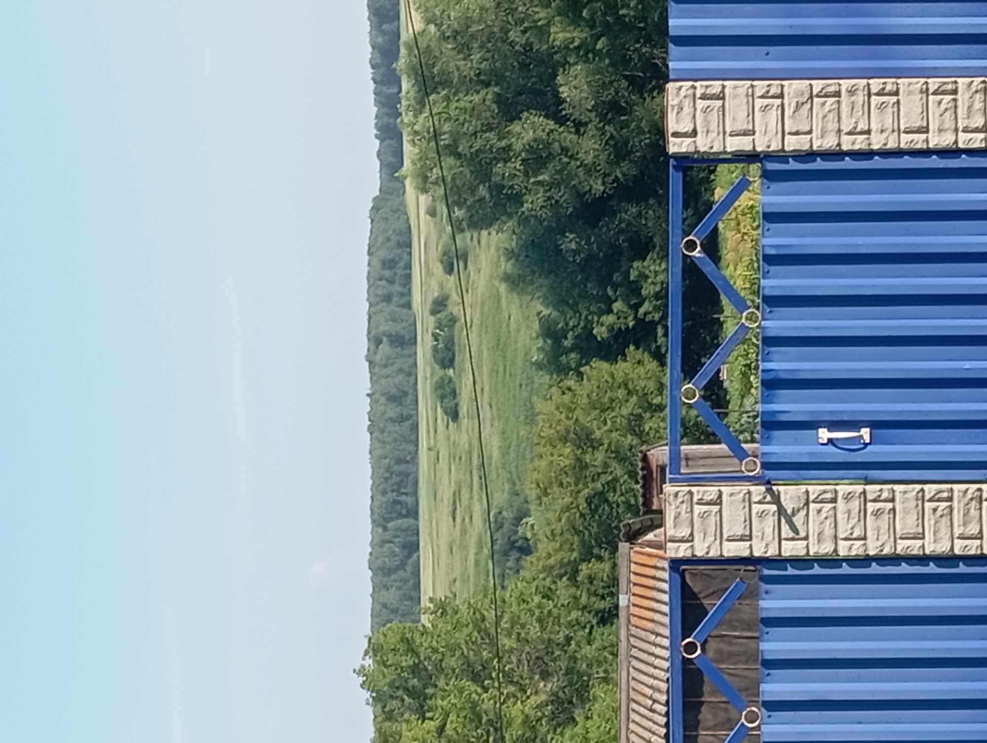 A clear, bright sky dominates the upper portion of the image, transitioning into a distant, tree-lined horizon with a vast, green field in the foreground. In the mid-ground, a dense forest of varying shades of green trees forms a backdrop. Closer to the viewer, a blue corrugated metal fence with decorative diamond-shaped accents topped with rings runs horizontally across the lower half of the frame. The fence is supported by brick pillars. To the left of the fence, a portion of a structure with a corrugated roof is visible. The scene appears to be an outdoor setting in a rural or semi-rural area, possibly a backyard or property boundary in Новокопылово, Russia, on a sunny day.