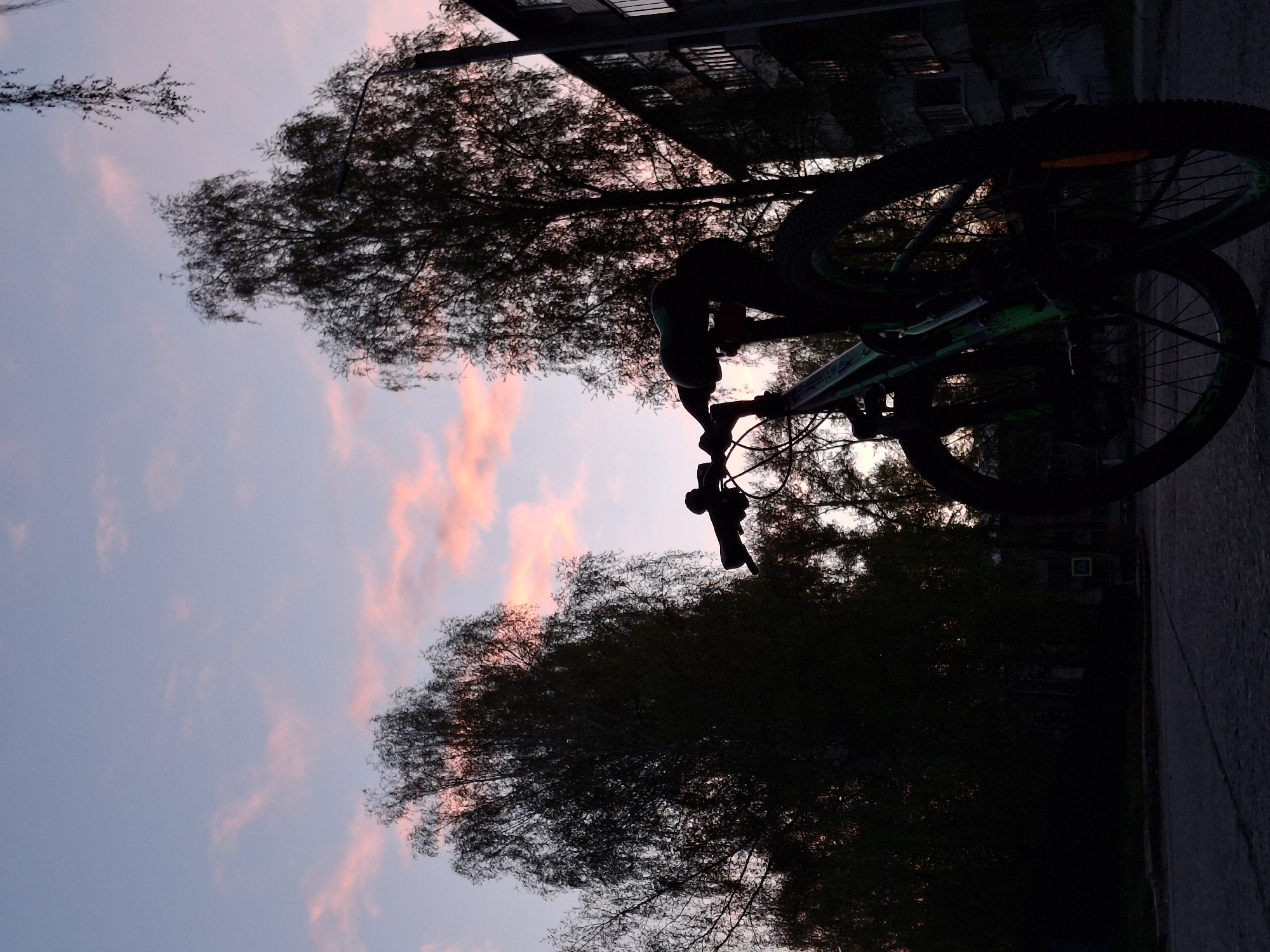 A bicycle is positioned upright on the sidewalk in Chaikovsky, Russia. The bicycle's handlebars are in the foreground, extending upward and slightly toward the left, while its wheels are at the top of the frame. A green building is visible, partially obscured by foliage, in the background. The sky features a gradient of pink and blue hues, suggesting either dawn or dusk. Trees with sparse foliage line the scene.