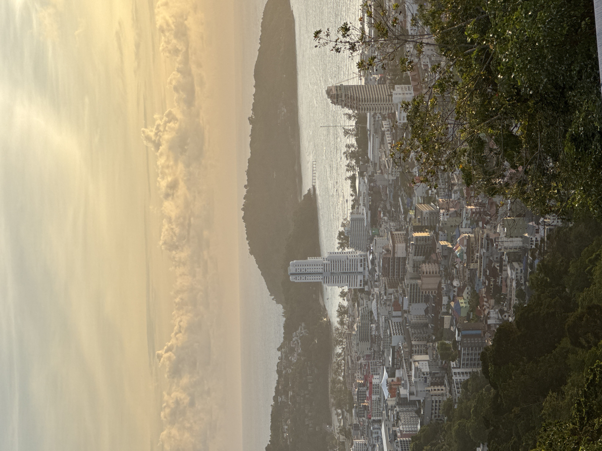 This is an aerial, full shot of Patong, Thailand, captured during what appears to be sunset. The foreground is dominated by dark green foliage, with branches of a tree in the bottom right casting dappled shadows on the leaves. Beyond the foliage, the city of Patong unfolds. Numerous buildings, varying in height and architectural style, densely pack the landscape. Some buildings are taller, modern structures, while others are smaller, more traditional, and colorful residential buildings. A large, white, high-rise building stands prominently on the right side of the city's mid-ground. In the background, the ocean stretches out to the horizon, meeting a hazy sky filled with soft, golden-yellow clouds. A prominent, green, hilly island rises from the ocean to the right of the city, with a long pier extending from its shore into the water. The overall scene conveys a sense of a bustling coastal city bathed in the warm glow of the setting sun. There are no people or animals visible in the image.