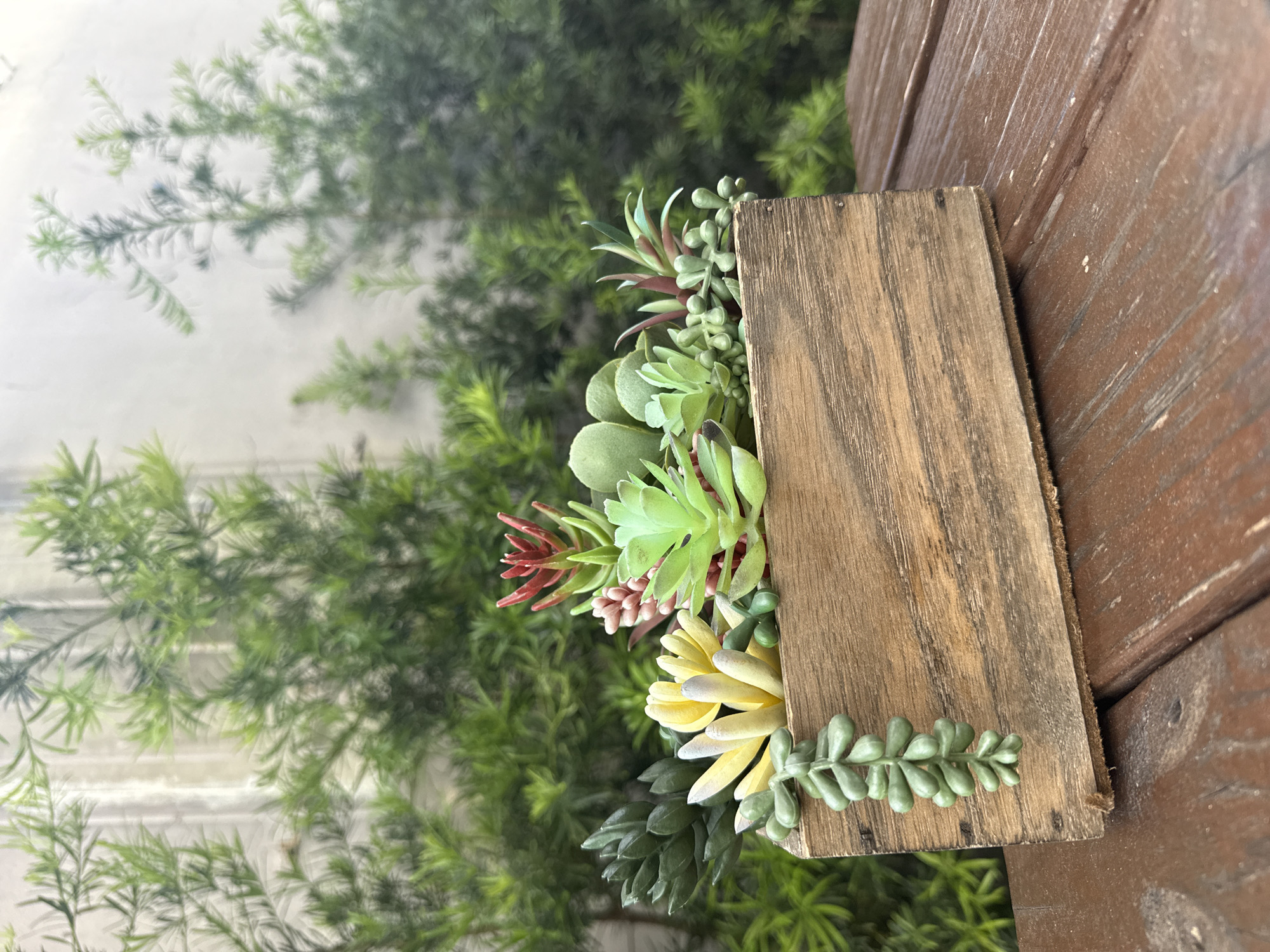 The image depicts a wooden frame containing artificial succulents. The frame appears to be made of reclaimed wood, showcasing visible grains and imperfections. A variety of succulent types are arranged within the frame, including green, red, and yellow varieties. In the background, greenery is visible, suggesting an outdoor setting. The entire scene rests on a weathered wooden surface. This appears to be a decorative item, possibly placed on a porch or patio. The location in Hollywood, USA is not apparent from the visual data.