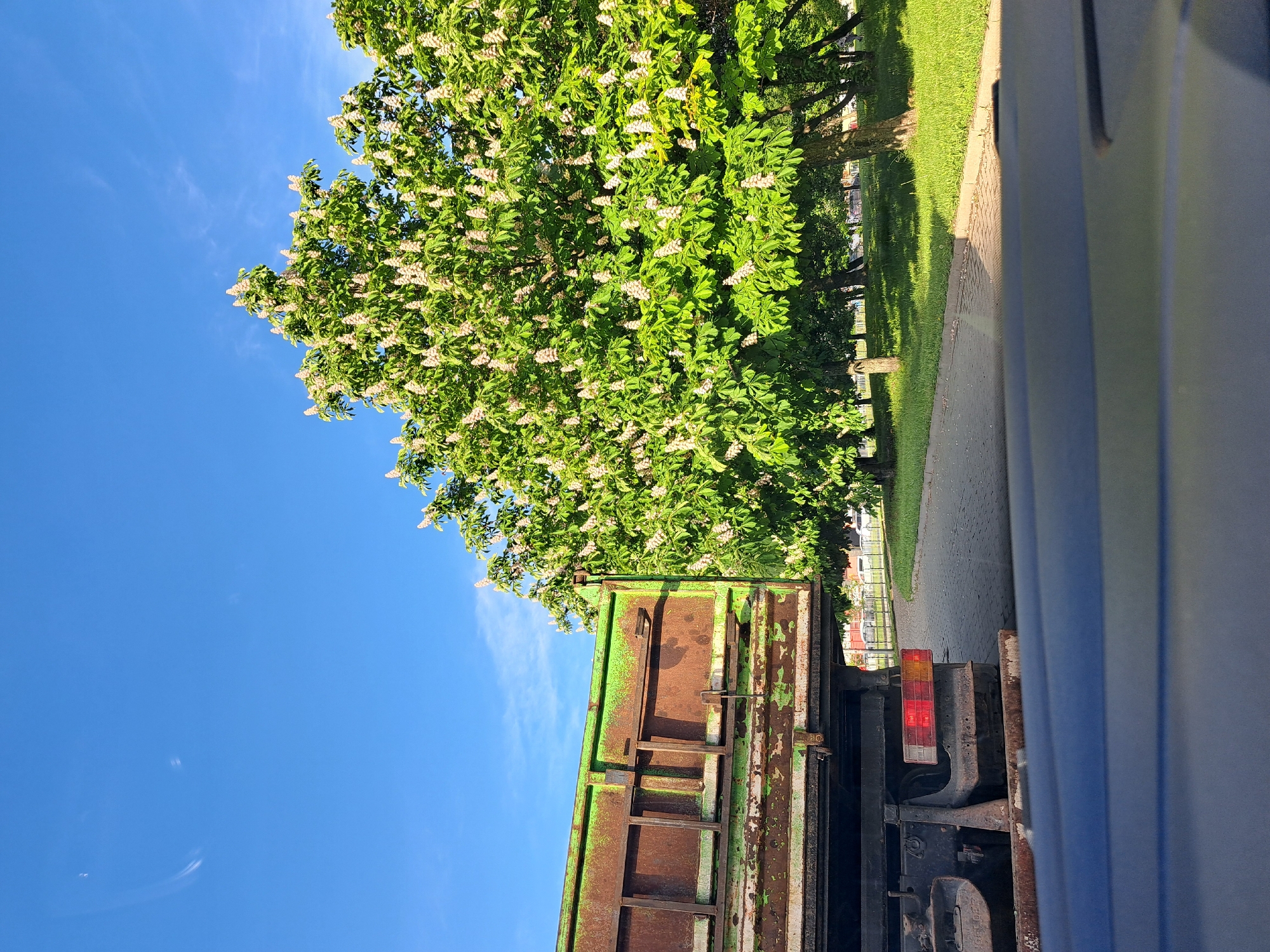 The image shows the rear of a green and rusty truck with a red taillight, parked on a paved surface. To the side, there is a green grassy area and a row of trees with white blossoms. The sky above is blue with a few thin clouds. It is not possible to verify the specific location as Sofia, Bulgaria from the image alone.