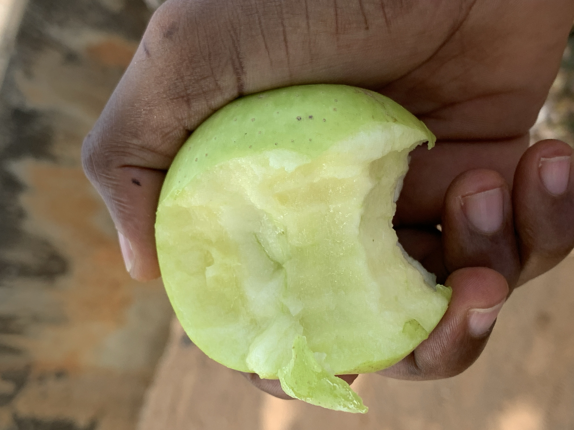 A dark-skinned hand holds a half-eaten green apple. The location of the image cannot be discerned to be in Ikorodu, Nigeria, based on the provided image.