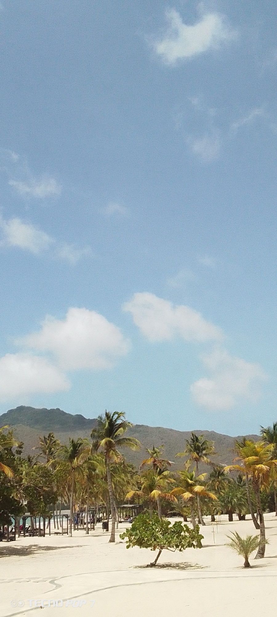 The image shows a beach scene in Pedro González, Venezuela. The foreground features a white sand beach with scattered palm trees and other vegetation. In the middle ground, there's a line of palm trees and some beach shelters. In the background, a mountain range rises against a clear blue sky with scattered clouds. No people are prominently visible in the image.