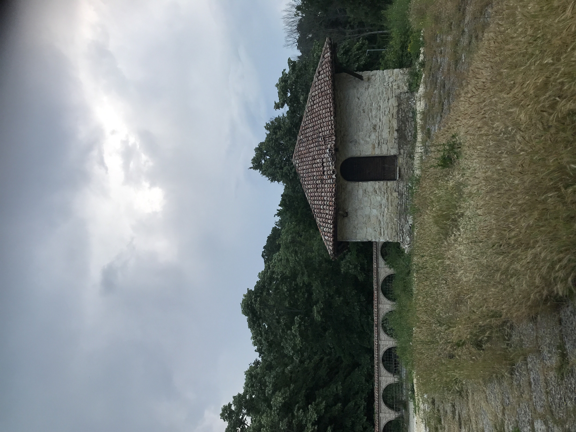 The image depicts an exterior scene in Varna, Bulgaria, under an overcast sky. A small, single-story building constructed from light-colored, rough-hewn stone blocks occupies the central-right foreground. It features a hip roof covered with reddish-brown terracotta tiles and a single dark, arched wooden door centered on its visible facade. A small wooden support beam extends from beneath the eaves on the right side. To the left and slightly behind the building, a long, low stone wall with multiple arched openings is visible. These arches are lined with brick and contain dark grates or fencing. Dense, dark green deciduous trees form a continuous backdrop behind both the building and the wall, extending across the upper background. The foreground is dominated by a field of tall, dry, golden-brown grasses, interspersed with some greener vegetation. A worn, lighter-colored path or track runs along the left edge of the foreground, leading towards the wall. No individuals are present in the scene. The overall lighting is soft and diffuse due to the thick cloud cover, with a brighter patch visible in the upper-right sky.