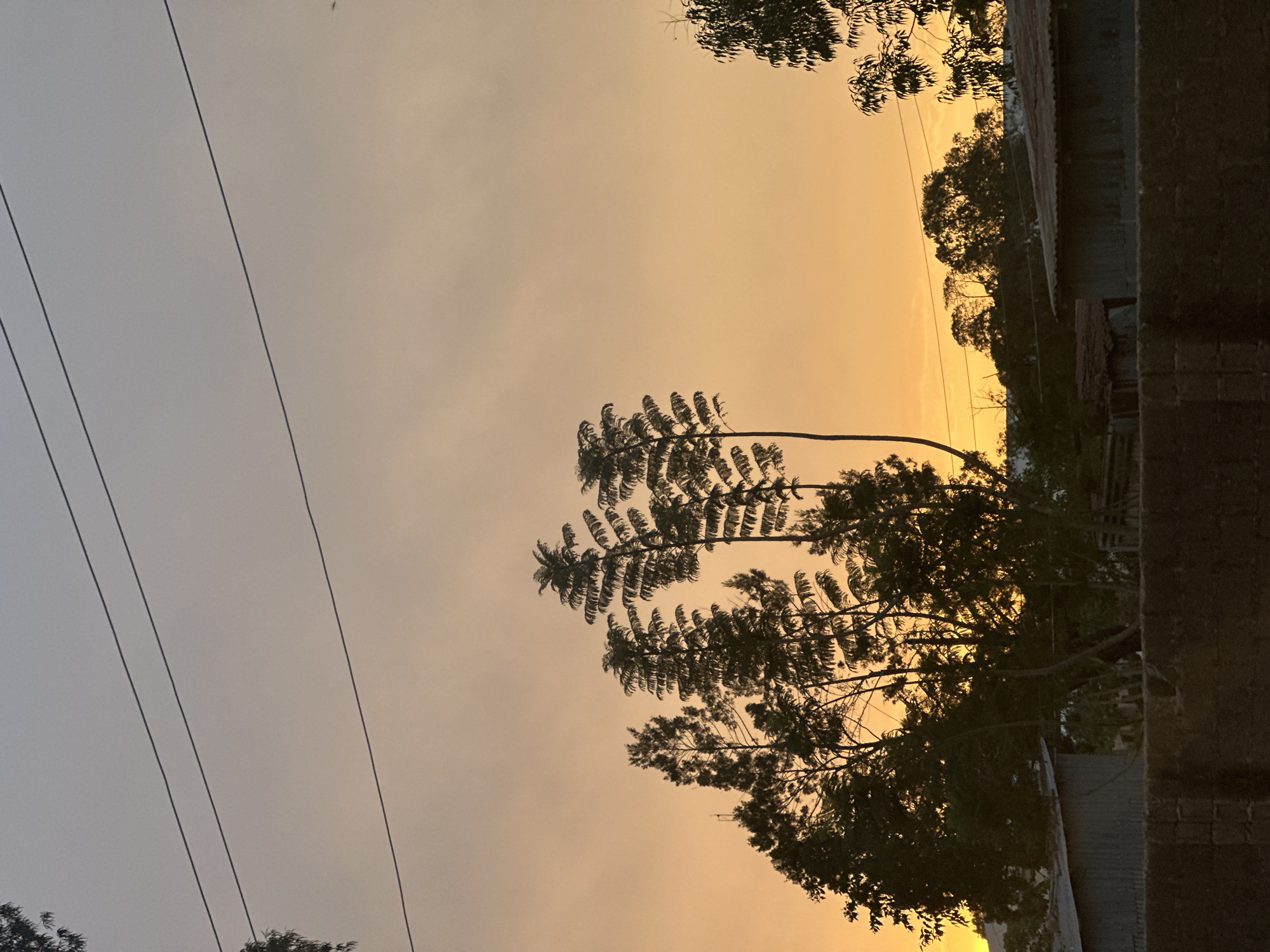 The image depicts a sunset scene in Bukuru, Nigeria. The sky is a gradient of grey to orange. Silhouetted trees are prominent in the foreground and middle ground. Power lines run diagonally across the top left of the frame. A building is partially visible on the right side, made of grey bricks. There are no people visible. The environment suggests an urban or suburban setting.