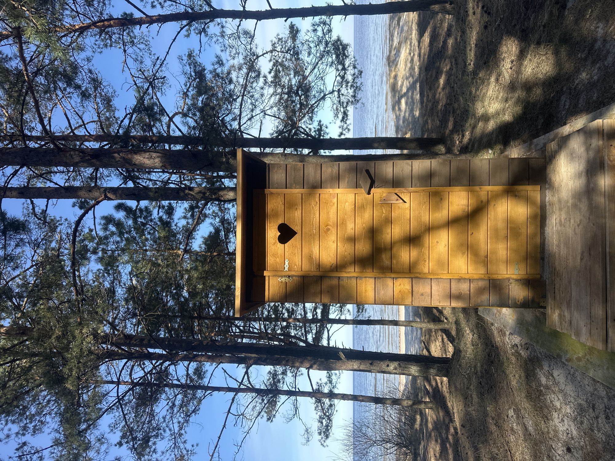 An upright, sunny outdoor scene depicts a rustic wooden outhouse situated among pine trees near a body of water. The outhouse, made of light-colored wooden planks, stands prominently in the foreground, angled slightly to the right. Its door features a distinctive heart-shaped cutout near the top left corner, and a simple wooden latch is visible on the right side of the door. Long shadows from unseen objects or the trees diagonally stripe the outhouse's wooden facade, indicating direct sunlight. A wooden platform or path extends from the front of the outhouse, curving towards the right foreground.
Tall, slender pine trees frame the outhouse and the background, with their dark trunks and green needles contrasting against a clear, bright blue sky. Beyond the trees, a shimmering body of water, likely the Baltic Sea, stretches to the horizon. A sandy or grassy bank with sparse vegetation and pronounced tree shadows descends towards the water's edge.
The lighting suggests a bright day, possibly morning or late afternoon, with clear skies. The scene conveys a peaceful, natural setting characteristic of a coastal forest. No people or visible text are present. The image was captured in Zīvartiņš, Latvia, a location consistent with a coastal, forested landscape.
