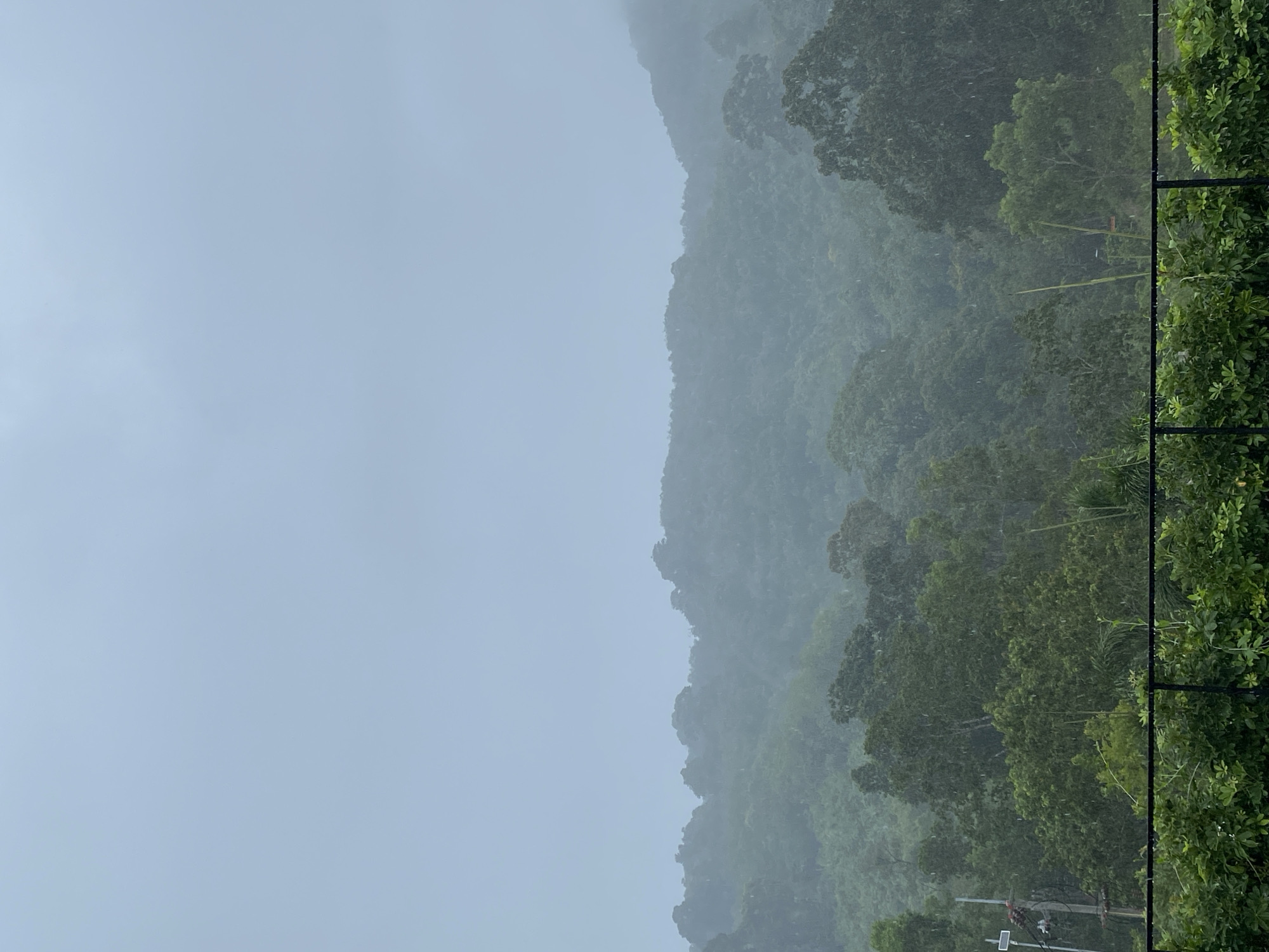 The image depicts a landscape in Choeng Thale, Thailand, characterized by a dense, green, mountainous terrain shrouded in heavy rain. The left side of the frame is filled with a grey, overcast sky indicating ongoing precipitation. A steep, tree-covered hillside rises from the center towards the top right. The right edge of the image features foliage growing along a fence, suggesting the presence of residential or developed property. Powerlines and electrical equipment are partially visible lower in the frame. No people are observable in the image.