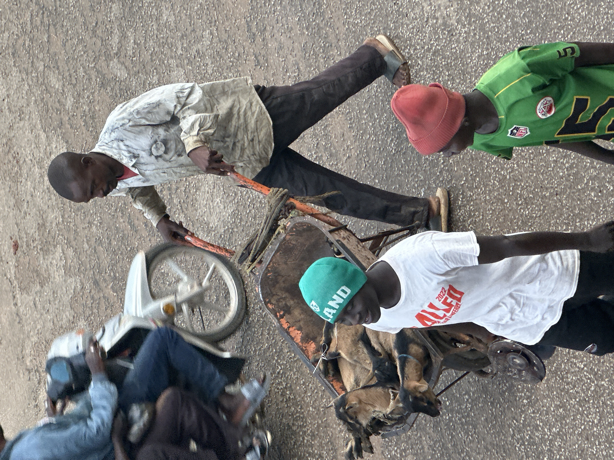 This image depicts a busy street scene in Bukuru, Nigeria. The primary subjects are several individuals, a cart with goats, and a motorcycle. In the foreground, a person wearing a white t-shirt with red text that reads "ALLIED 2022 CONFERENCE" and a green beanie is tending to a cart filled with several goats. Another person in a green t-shirt stands nearby. To the left, a person in a light-colored, possibly dirty, shirt and dark pants is pushing or interacting with a cart. A partially visible motorcycle is also present, with a person in blue jeans sitting on it.
The activity suggests transportation or commerce, possibly moving livestock or goods. The overall atmosphere appears to be one of daily life and activity on a paved surface, likely a street or market area. The lighting suggests it could be daytime. There is no clear indication of weather conditions, but the general scene implies a moderately active environment. The presence of multiple individuals and animals in a seemingly public space points to a community setting within Bukuru. The text on the t-shirt is the only prominent readable text in the image.