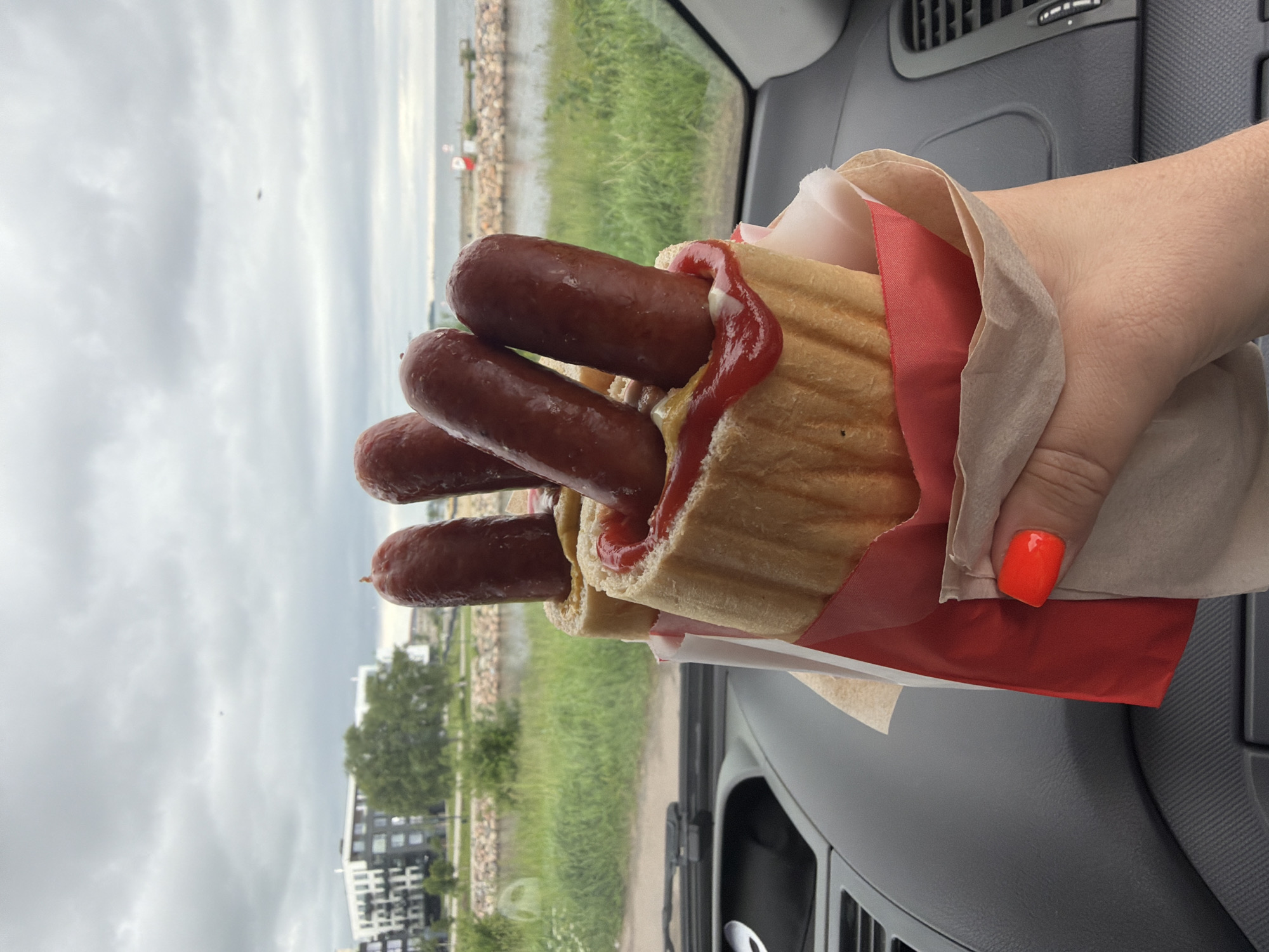 A close-up shot shows a person's hand holding three hot dogs in buns, each topped with ketchup and mustard. The background is blurred but appears to be an outdoor scene with a body of water, green grass, and buildings, possibly in the city of Tallinn, Estonia. The shot is taken from inside a vehicle, with the car's dashboard visible in the foreground. The sky is overcast.