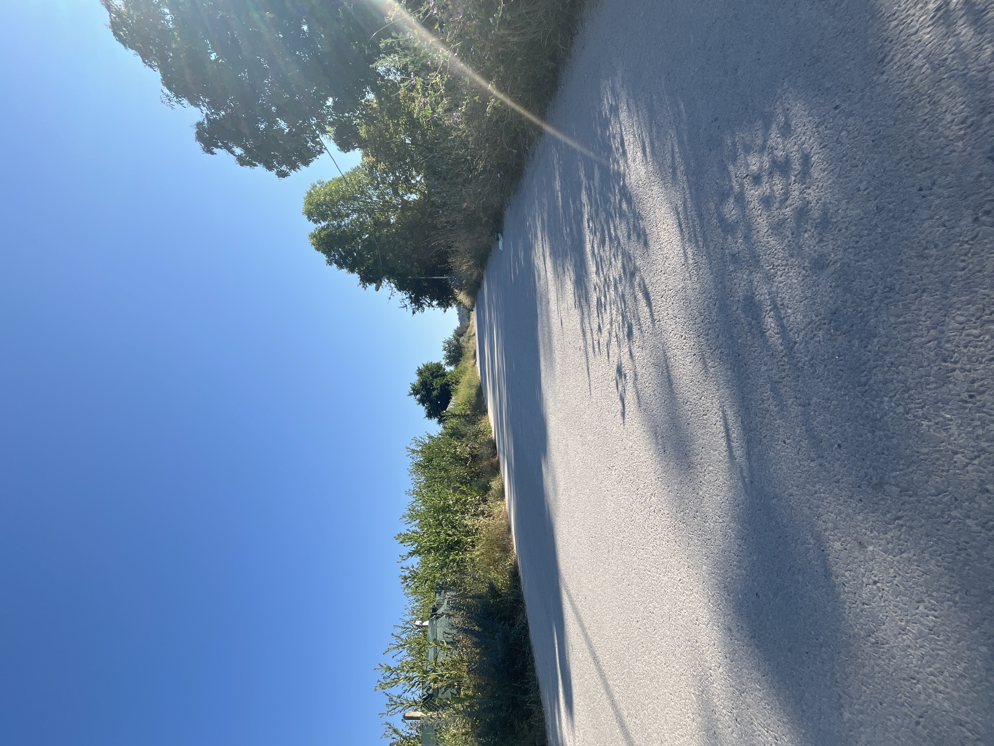 The image depicts a rural road in the city of Varna, Bulgaria, under a clear blue sky. The road is paved and appears to be slightly uphill, curving gently to the left in the distance. Lush green vegetation lines both sides of the road, with trees and bushes visible. Sunlight streams in from the right, casting distinct shadows of the foliage onto the road surface. The overall atmosphere is serene and natural, suggesting a quiet, undeveloped area. No people or vehicles are present in the image.