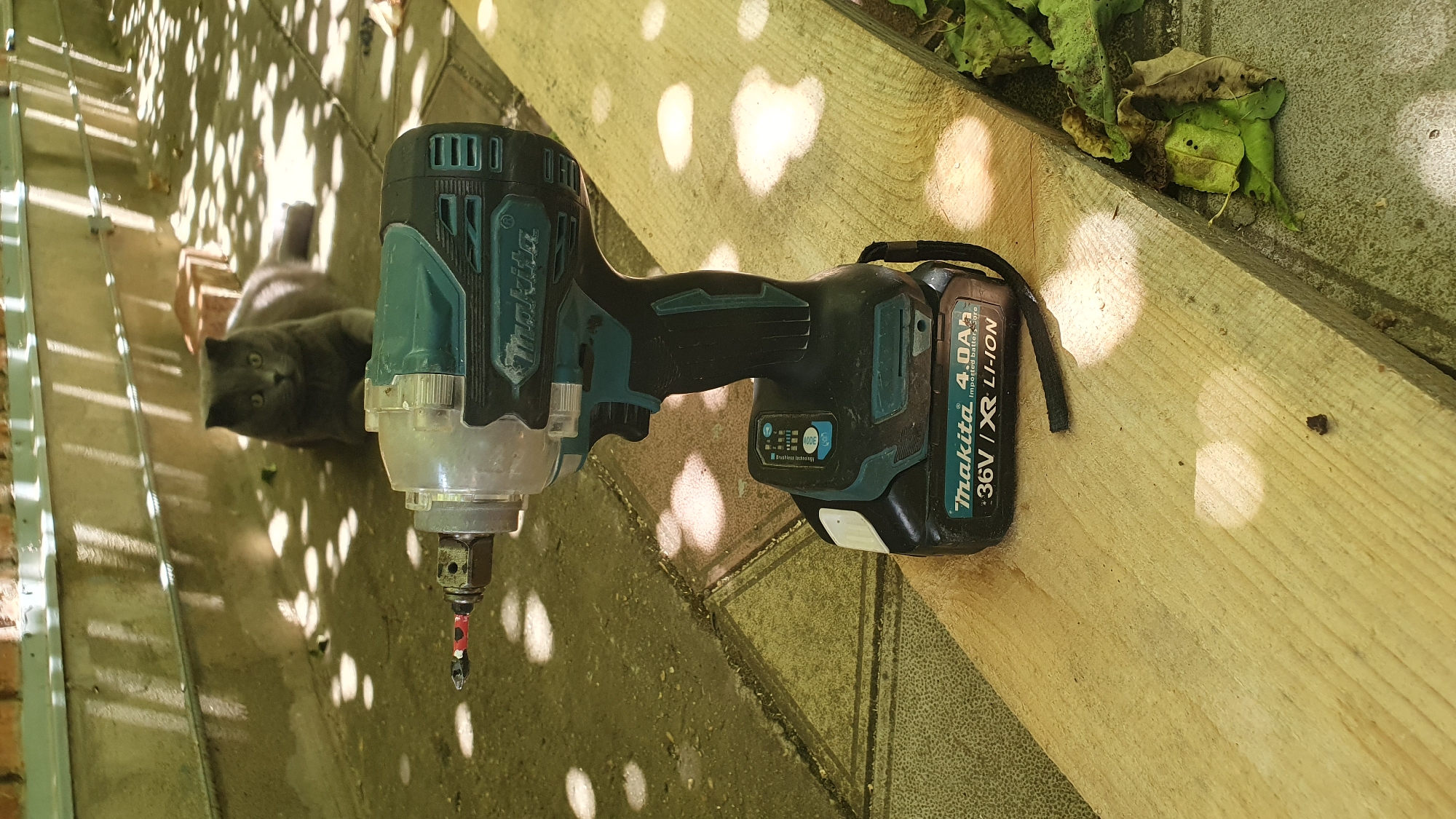 A cordless Makita impact driver with a 36V lithium-ion battery is resting on a light-colored wooden plank outdoors. The tool is positioned in the foreground, angled slightly towards the left. In the background, a grey cat with yellow eyes is sitting on a patterned concrete surface. The scene is illuminated by dappled sunlight, creating circular patterns of light and shadow on the ground and the surrounding brick wall. The environment appears to be an outdoor space, possibly a yard or patio, with some dry leaves visible near the plank. The image was taken in Ust-Labinsk, Russia.