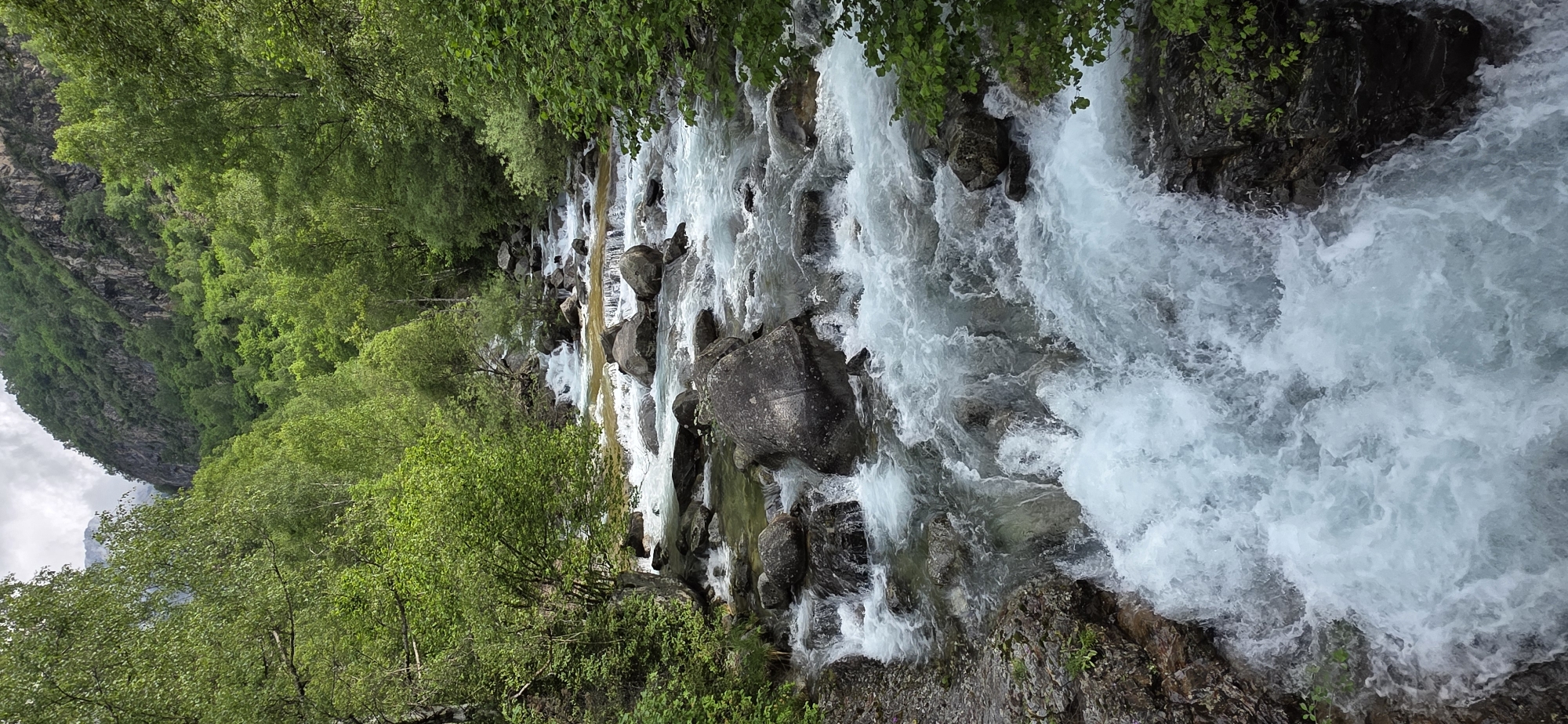 A dynamic natural landscape is captured, showcasing a fast-flowing mountain river cutting through a verdant valley. The primary subject is the river, which is characterized by turbulent, foamy, white water in many sections, indicating strong rapids and cascades as it flows over and around numerous large rocks and boulders. In some shallower or calmer areas, the riverbed is visible through clearer water, revealing lighter-colored sediment and submerged stones.
Both banks of the river are densely covered with lush green trees and bushes, vibrant with foliage, suggesting a season of full growth like spring or summer. To the left of the river, a steep, rocky mountain face or cliff rises dramatically, partially covered in greenery, forming a rugged backdrop. The sky above is partly cloudy, casting a soft, diffused light over the scene. There are no visible people or man-made objects. The image depicts a natural, untamed environment, possibly within the mountainous region near Sahún, Spain, emphasizing the power and beauty of flowing water in a pristine setting. No text is visible in the image.