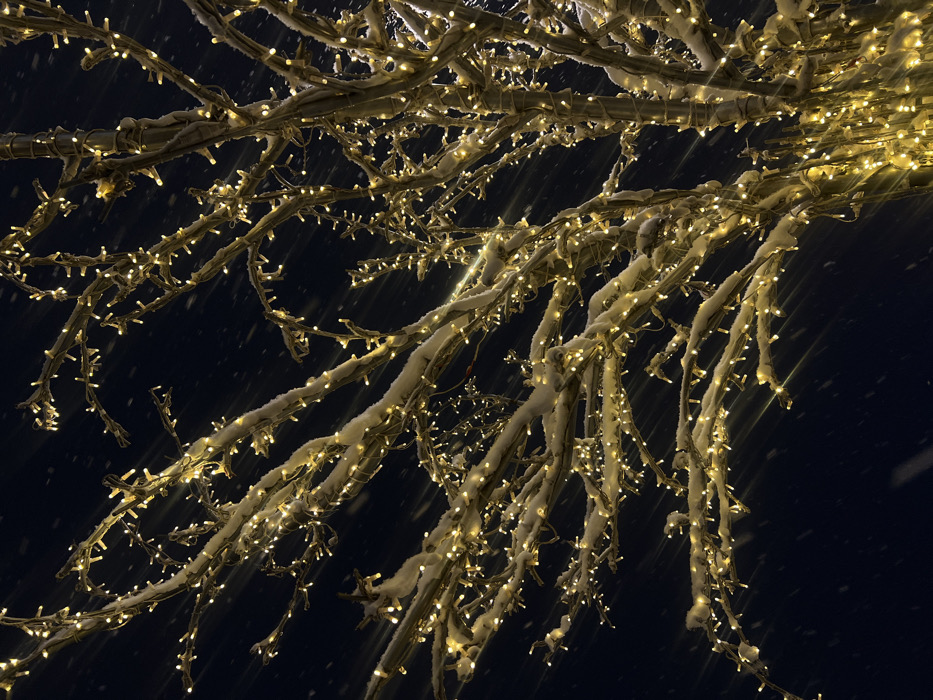 The image displays a deciduous tree at night during a snowfall, illuminated by numerous warm-toned LED string lights. The tree's bare branches are encrusted with snow and wrapped extensively with the miniature lights. Falling snowflakes are visible as bright, elongated streaks and individual points against a dark, featureless sky, enhanced by the tree's luminescence. No specific landmarks, individuals, or other structures are discernible to identify a precise location within the city of Krasnoyarsk, Russia, beyond the general context of a winter night scene with decorative urban lighting.