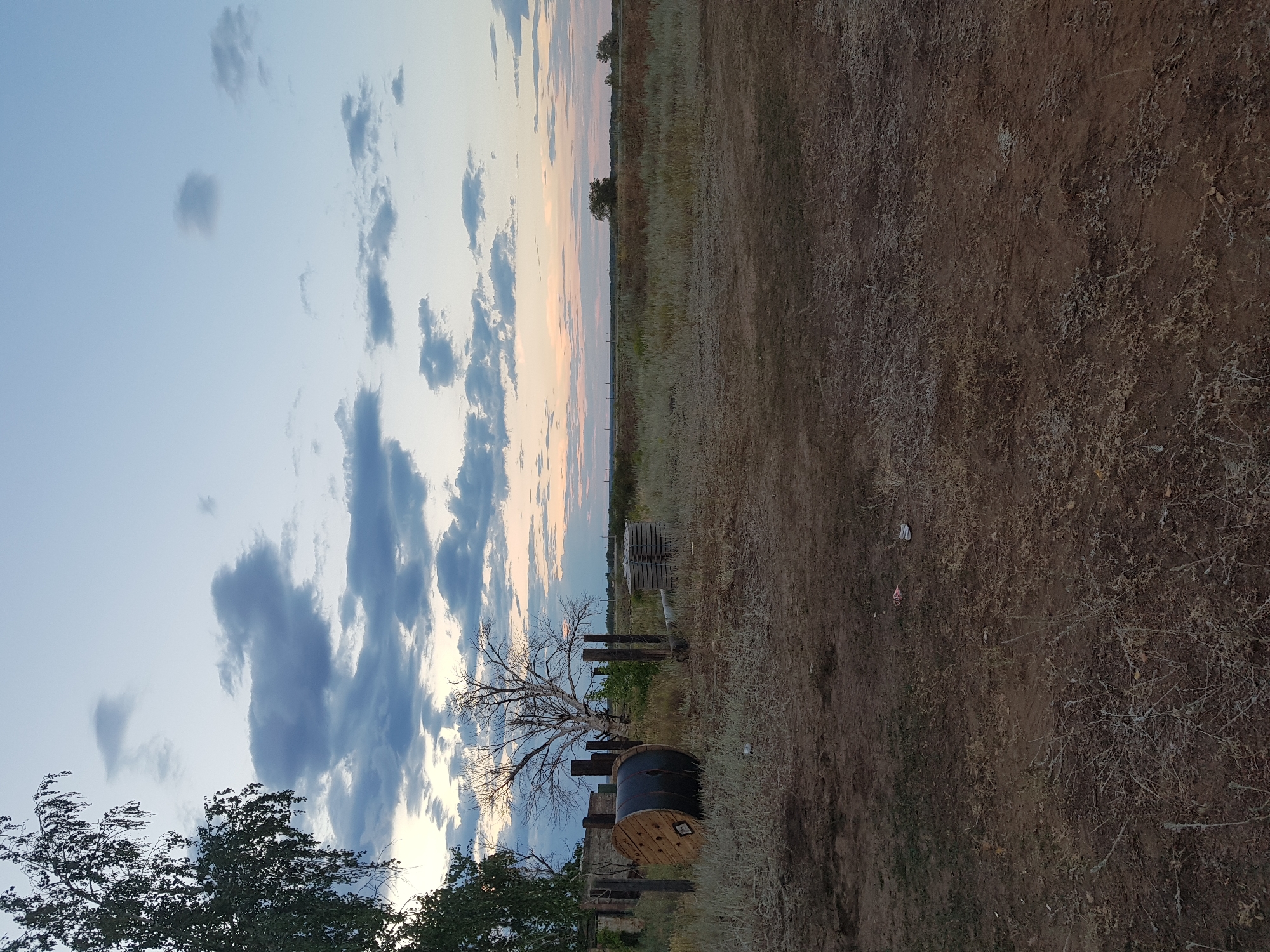 The image depicts an outdoor scene with a wide expanse of dry, grassy terrain under a dusky sky. The sun appears to be setting or has recently set, casting soft hues of orange and pink across the horizon where it meets the blue sky dotted with clouds. In the foreground, a large wooden spool, possibly for cables or wires, rests on the dry ground. To the left, a leafless tree stands starkly against the sky, its branches reaching out like skeletal fingers. A patch of green foliage is visible behind the tree. In the distance, several more wooden spools are stacked, and what appears to be a fence line stretches across the landscape, separating the foreground from the more distant fields and sparse trees. The overall impression is one of a rural, somewhat arid environment, captured during the twilight hours. There is no visible text in the image.