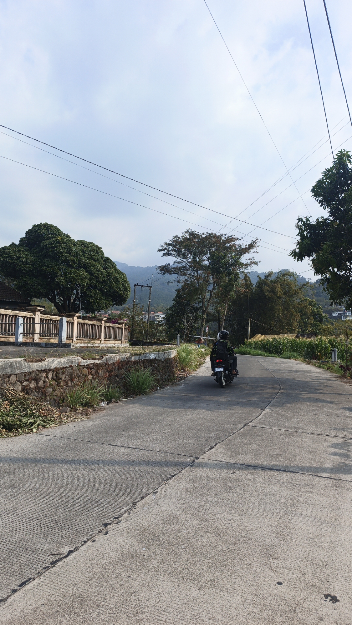 A motorcycle carrying two individuals is traveling on a paved road in the city of Sajen, Indonesia. The road curves to the right and is bordered by a stone wall on the left, with lush green vegetation beyond. A large, leafy tree stands prominently to the left of the road, with a fence in front of it. In the background, rolling hills and mountains are visible under a partly cloudy sky. Power lines are strung across the sky, suggesting the presence of infrastructure within the area. The overall scene depicts a rural or semi-rural setting within the city.