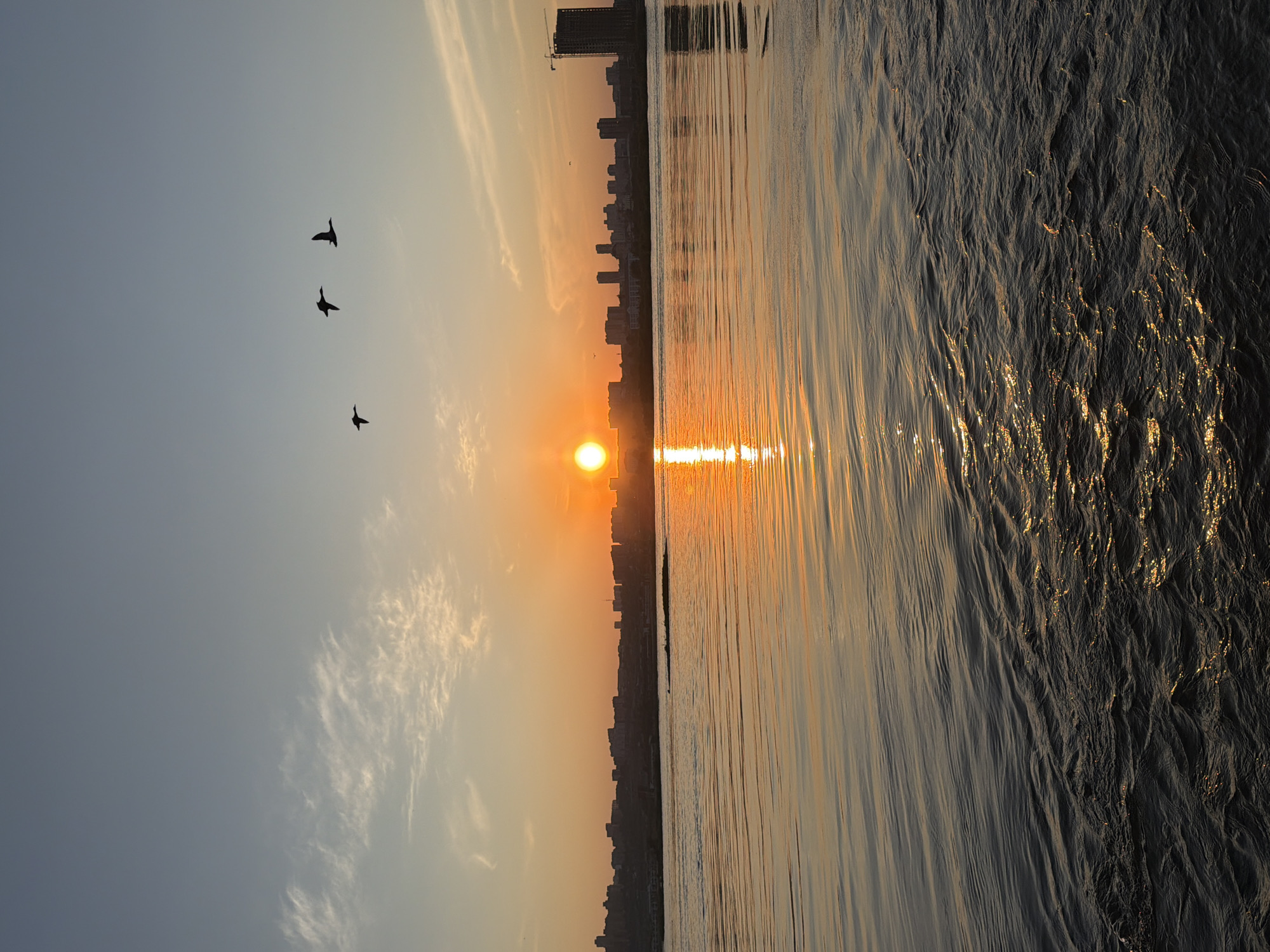 The image depicts a sunset over a wide river in the city of Krasnoyarsk, Russia. A vibrant orange sun, positioned low on the horizon slightly to the left of the image center, casts a prominent, elongated reflection onto the rippling water surface. The sky displays a gradient from light blue-grey at the top to warm orange and yellow near the horizon, with sparse, wispy cirrus clouds. Three dark, silhouetted birds are captured in flight from left to right across the upper sky. A continuous silhouette of an urban skyline, comprising numerous buildings of varying heights including a prominent structure with a construction crane on the far right, stretches along the distant riverbank. The river's surface occupies the lower two-thirds of the frame, exhibiting distinct ripples and waves, with the warmer sunset colors reflected in the mid-ground and darker tones dominating the immediate foreground.