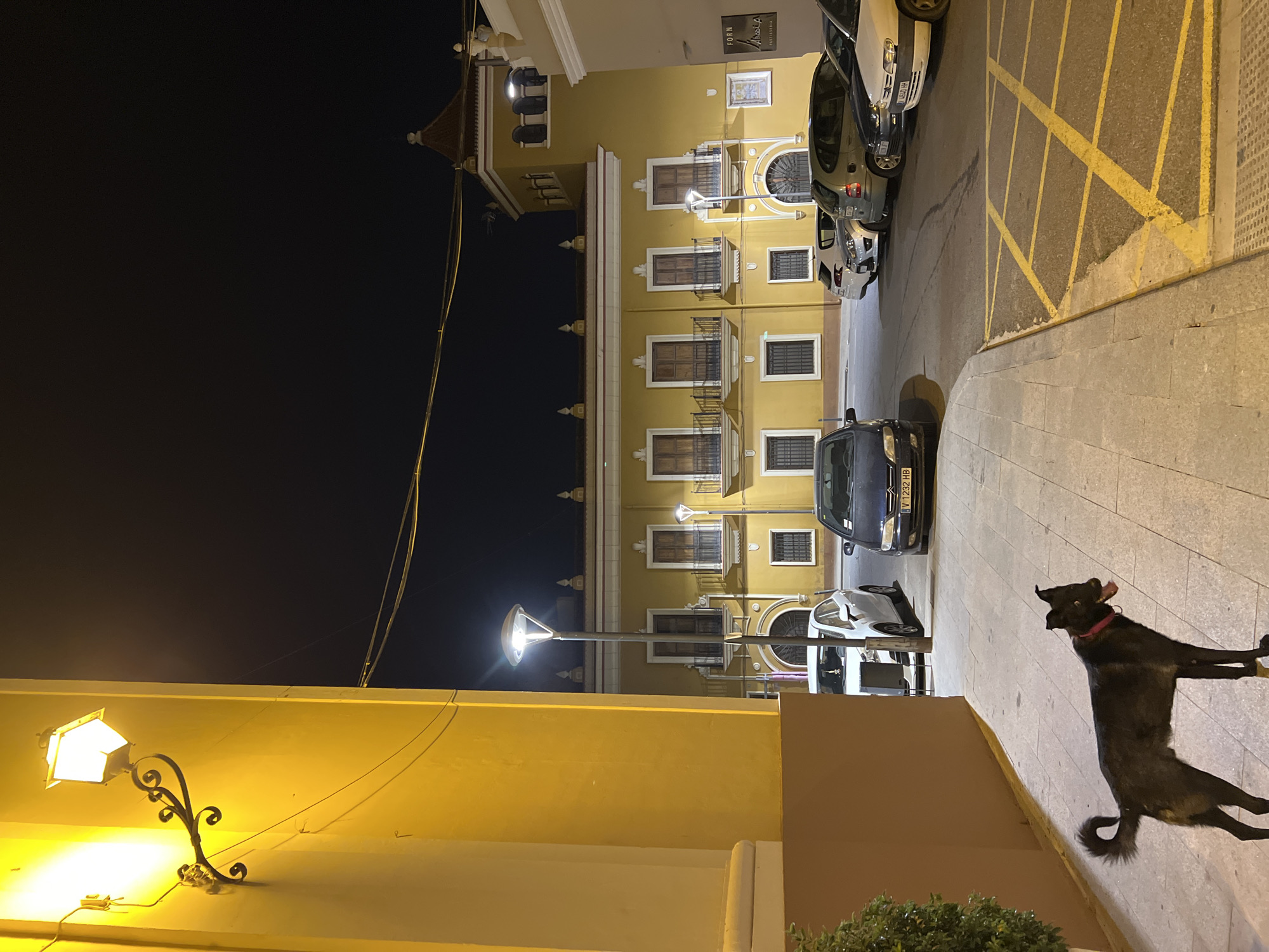 The image is taken at night in Picassent, Spain. The yellow three-story building on the right is the local library, named 'Forn d' Alessa'. Parked vehicles line the street. A black dog with a pink collar stands on the sidewalk in the foreground. A street lamp and a wall-mounted decorative light fixture provide illumination. The sky above the buildings is dark.