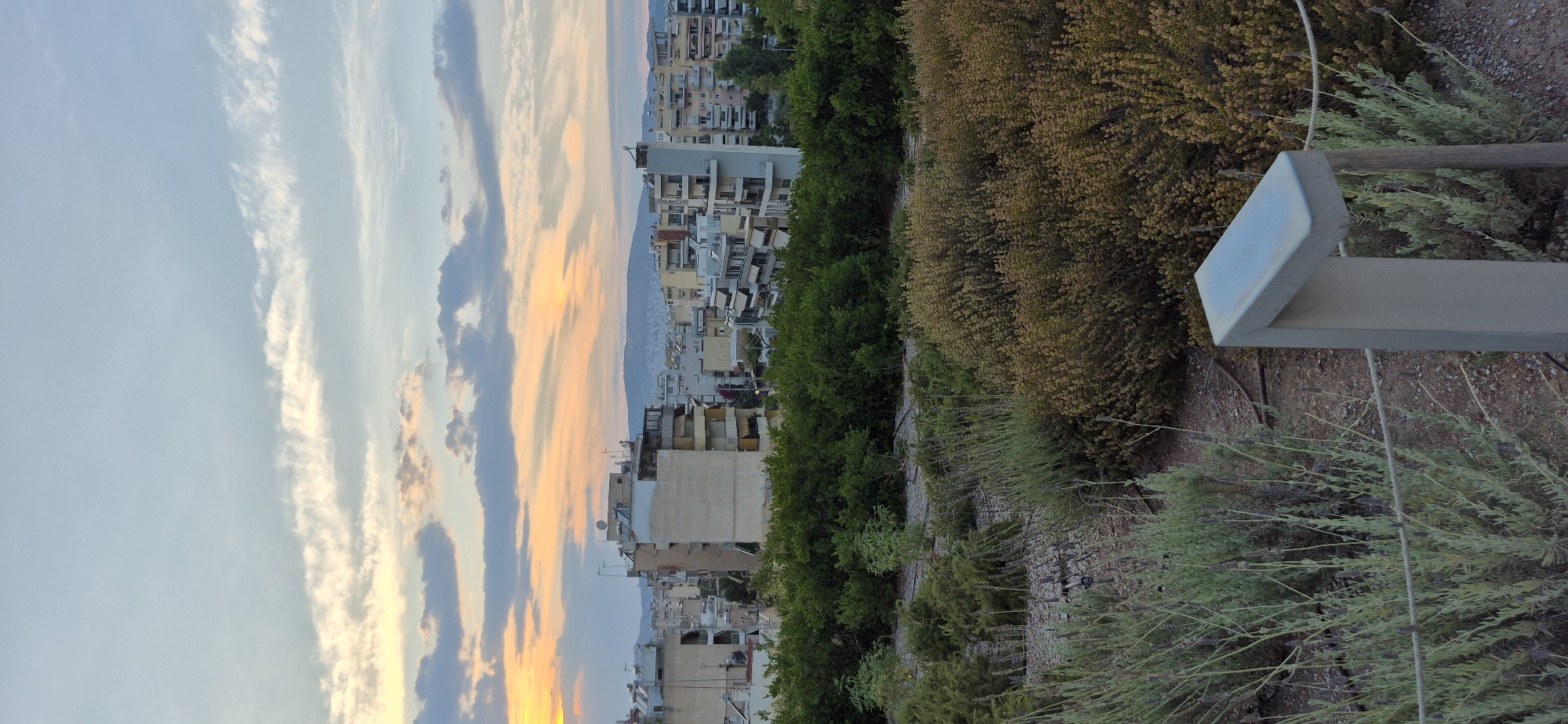 This is a high-angle, vertical photograph of a city skyline with lush greenery in the foreground and a colorful sunset sky above. The image captures an urban landscape in Kallithea, Greece, characterized by mid-rise apartment buildings with balconies and awnings. The buildings are varied in color, with a mix of beige, white, and grey facades. In the distance, a hilly landscape is visible against the horizon.
The foreground features a carefully curated garden with various types of shrubs and plants. Closest to the viewer are clumps of slender, grey-green plants, likely lavender, with visible stalks and buds. Behind these, a denser cluster of golden-brown, bushy plants creates a textured contrast. Further back, a line of deep green, dense foliage forms a hedge-like barrier, separating the garden from the buildings. A modern, light-colored outdoor lamp fixture is positioned in the lower right quadrant of the image, with a weathered wooden post and a thin rope barrier also visible in the immediate foreground.
The sky is a prominent feature, painted with the soft hues of sunset. Wispy clouds streak across the upper portion of the frame, transitioning from a pale blue to soft oranges and pinks closer to the horizon, where the sun is setting. The lighting suggests it is late afternoon or early evening. There are no people or animals visible in the frame. The overall scene conveys a sense of urban living integrated with green spaces, bathed in the warm light of dusk.
