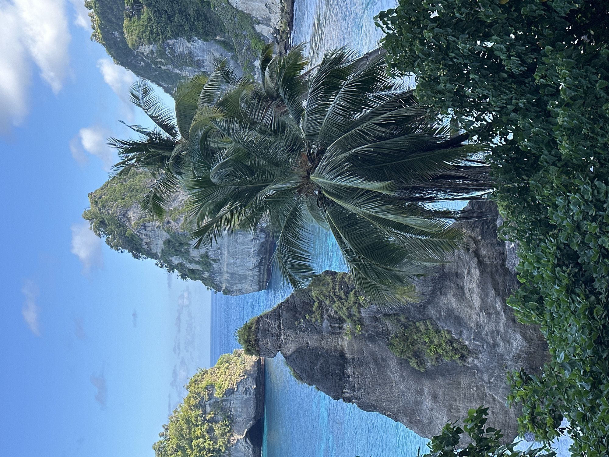 The image is a scenic view of Nusa Penida, Indonesia. The perspective appears to be from an elevated position looking out over a tropical scene. The foreground features lush green vegetation including a prominent palm tree with large fronds. Further out, the turquoise blue water is visible, dotted with rocky cliffs and islands covered with green vegetation. The sky has some clouds.