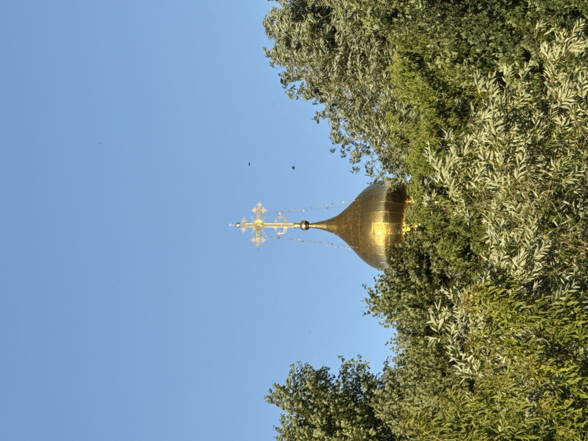 A golden Orthodox Christian dome with a cross on top is visible against a clear blue sky, partially obscured by lush green trees. The dome reflects the sunlight, creating a bright, shiny surface. The cross is ornate, made of gold or a similar reflective material, and has multiple elements. The trees have dense foliage, with many small, light-colored leaves, suggesting a sunny day. The image appears to be taken from a low angle, looking upwards towards the dome and the sky. There are a few dark specks in the sky that could be birds or insects. The overall impression is one of peace and tranquility, with the religious symbol of the cross prominently displayed. Given the context of Moscow, Russia, this is likely the dome of a church or cathedral. The time of day appears to be daytime, with bright sunlight. There is no visible text in the image.