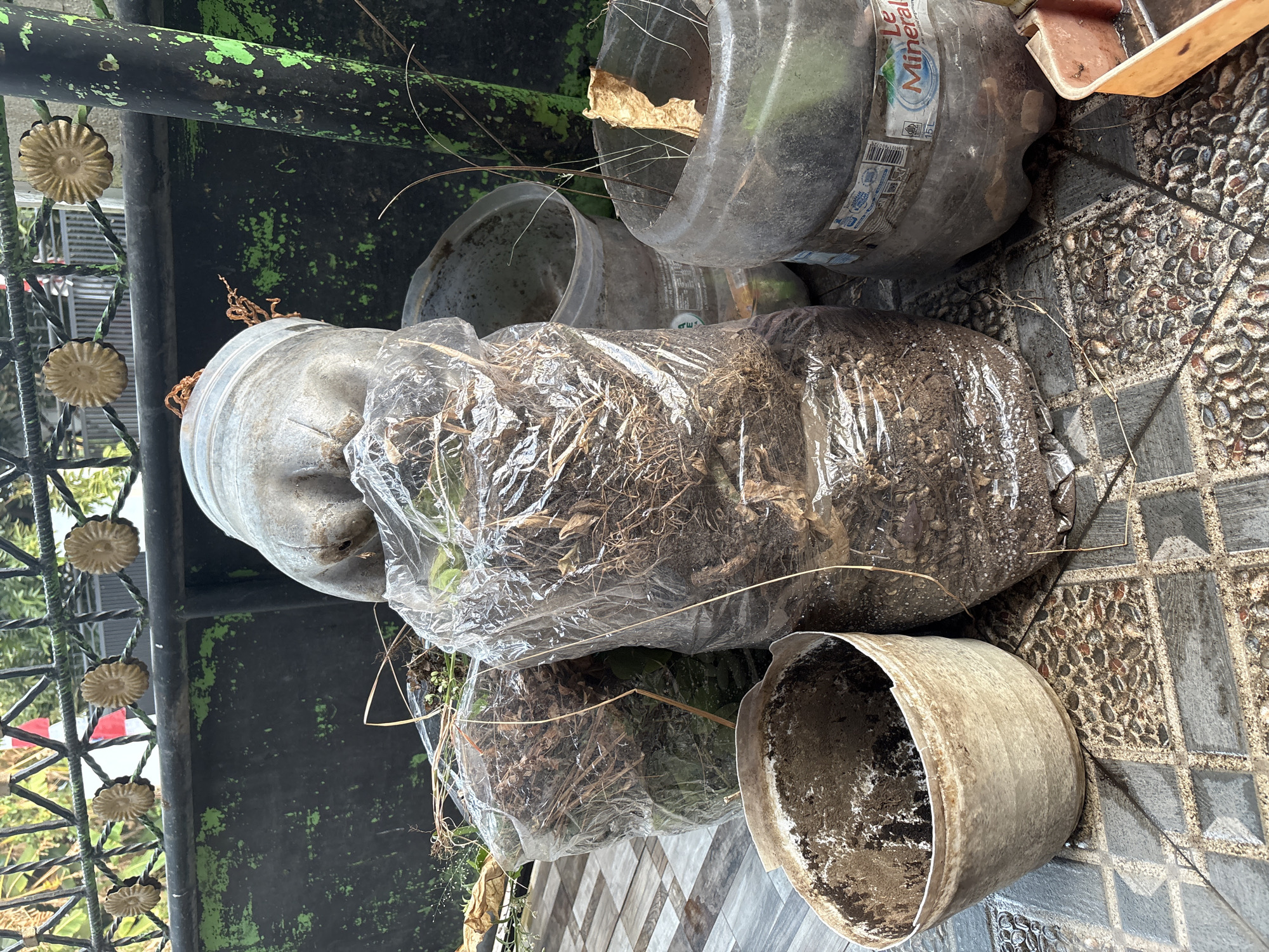 The image depicts a collection of gardening supplies and discarded materials arranged on a tiled patio. In the foreground, a weathered, beige pot with a rough texture contains dirt and debris. To the right of the pot, two large, clear plastic bags filled with soil, dried leaves, and plant matter are visible. Behind these bags, a large, translucent plastic bottle, possibly a repurposed water jug, stands upright, also containing soil and dry vegetation. Another similar plastic bottle, cut in half, is positioned to the right of the upright bottle, with dry leaves protruding from it. In the background, a black metal fence with decorative circular motifs runs horizontally. The overall environment suggests an outdoor space, likely a backyard or garden area. The scene is lit by natural daylight, casting shadows on the tiled surface. The presence of discarded materials and gardening supplies indicates a context of either preparing for or having recently completed gardening tasks. The location, Palimanan, Indonesia, implies a tropical or subtropical climate, which would influence the types of plants and vegetation present.