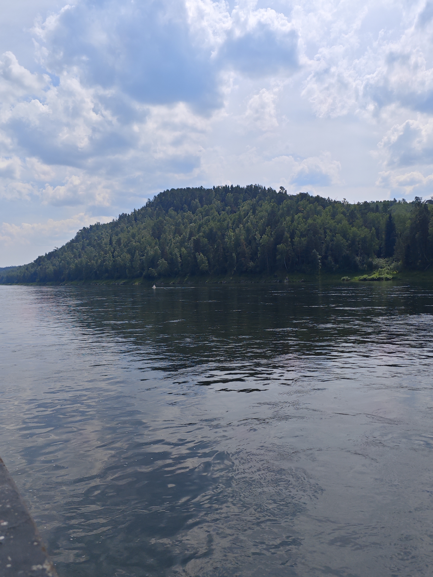 The image shows a wide, dark river flowing in front of a densely forested hill. The sky above is partly cloudy with dramatic white clouds against a blue backdrop. On the far bank, the hill is covered with a thick canopy of green trees, with the top of the hill sloping downwards towards the right. The water surface is textured with ripples, reflecting the sky and the surrounding greenery. In the middle distance on the river, a small, white object, possibly a buoy or a small boat, is visible. The foreground shows the edge of a dark surface, likely a dock or the side of a boat, which is out of focus. The scene appears to be a natural landscape.