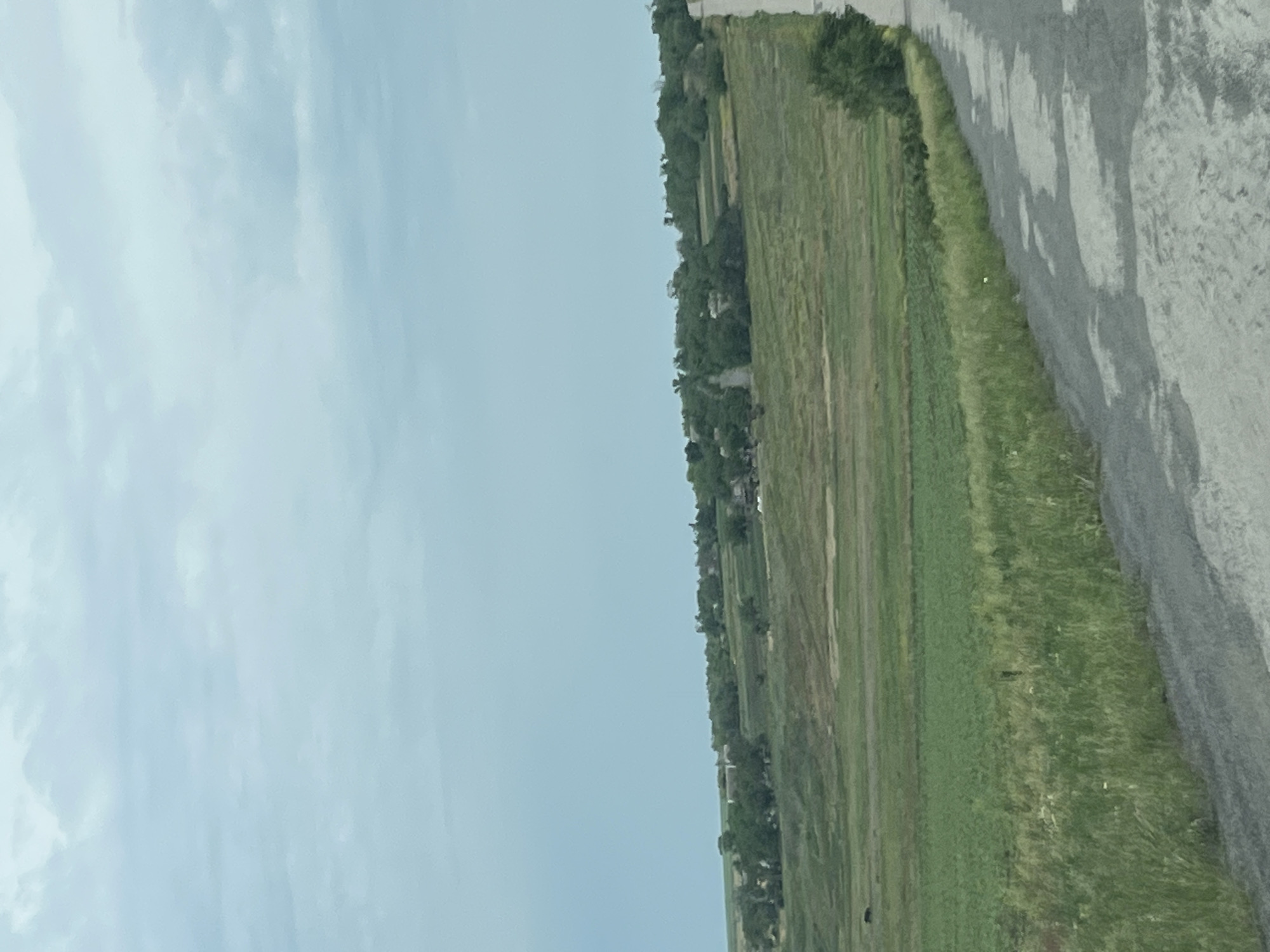 This image presents a rural landscape in Poltavka, Ukraine. The upper half of the frame is dominated by an overcast sky, characterized by diffused light blue-grey clouds. The lower half depicts a gently rolling terrain comprising agricultural fields and distant vegetation.
In the foreground, a worn, grey road extends from the lower right, curving slightly as it recedes towards the mid-distance on the right side of the frame. The road surface exhibits multiple irregular, darker patches, consistent with areas of repair or surface degradation. A strip of green and yellowed grasses and wild vegetation borders the left edge of the road, extending into the midground.
To the left of the road, the landscape consists of several cultivated fields displaying varying shades of green, suggesting different crops or stages of growth. Some patches appear to be bright green, while others are darker or have brownish hues indicative of tilled earth or fallow ground. A small, dark, indistinct object, possibly an animal or agricultural equipment, is visible on the far left within one of these fields.
In the background, a low ridge or hill is covered with a dense concentration of deciduous trees. Within this treeline, several indistinct structures, possibly buildings or farmsteads, are partially visible. A narrow, lighter-colored path or road appears to ascend into this distant cluster of trees and structures.
The overall illumination is soft and diffused, consistent with an overcast sky during daylight hours. No human figures or overt actions are discernible.