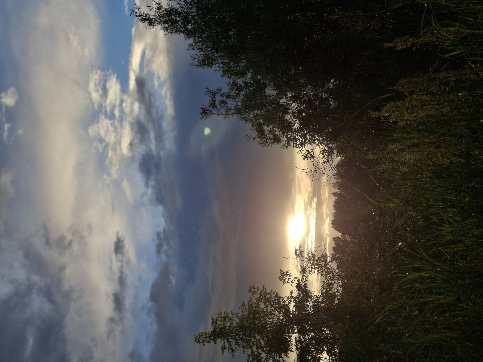 This is a vertical, eye-level shot of a sunset over a natural landscape. The sun is bright and low on the horizon, casting a warm glow through a cloudy sky. The sky transitions from a bright blue at the top to darker grays and purples closer to the horizon, with fluffy white clouds interspersed throughout. The foreground is dominated by dark silhouettes of trees and lush green grass, obscuring much of the ground. The overall mood is serene and tranquil, characteristic of a peaceful evening in a rural setting. The image appears to have been taken outdoors in Chaikovsky, Russia, at dusk. There is no visible text in the image.