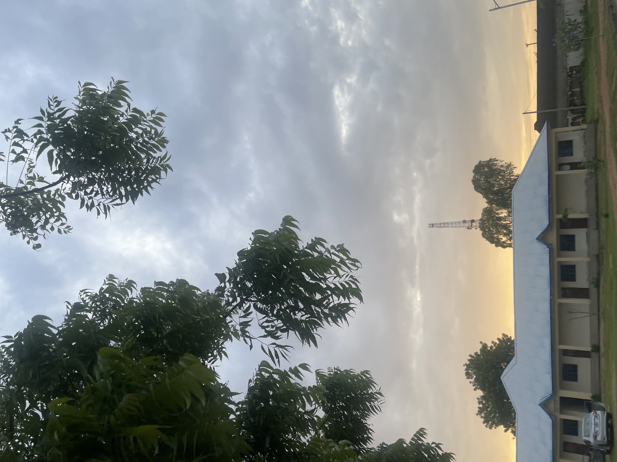 This media file, likely a photograph, depicts an outdoor scene in Jalingo, Nigeria. The image is oriented vertically. In the foreground, lush green trees with a multitude of leaves dominate the left side. Their branches extend upwards and across the frame.
The background reveals a cloudy sky, with varying shades of gray and hints of white where the clouds are thinner, suggesting diffused sunlight. To the right, a building with a light-colored facade and a light blue roof is visible. It appears to be a single-story structure with several doors and windows. The building has a covered walkway along its front. Beyond the building, more trees are scattered, and a faint silhouette of a transmission tower can be seen in the distance. The overall lighting suggests it might be early morning or late afternoon, given the soft glow in the sky towards the right edge of the frame, bordering on a golden hue.
A silver-colored car is parked near the building on the right side. The ground appears to be covered in grass and some dirt paths. The presence of the building, the car, and the transmission tower indicate a somewhat developed area, possibly a school or institutional setting. There is no visible text in the image. The mood conveyed is tranquil, with the natural elements of trees and sky juxtaposed with man-made structures.
