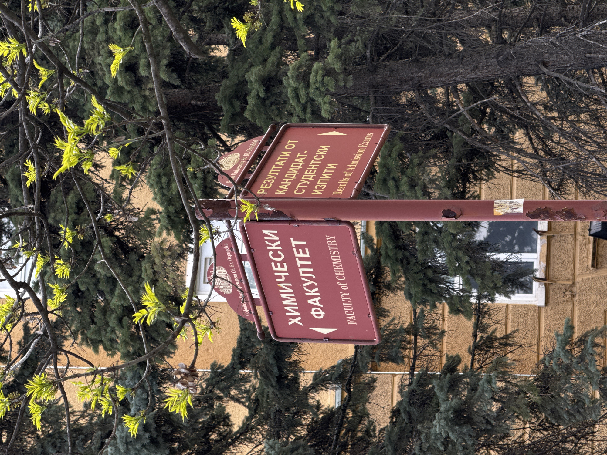 The image, originally rotated 90 degrees clockwise, depicts an outdoor scene on a bright, clear day, likely on the campus of Sofia University "St. Kliment Ohridski" in Sofia, Bulgaria. In the foreground, numerous tree branches with fresh, vibrant green leaves suggest it is springtime. These branches partially obscure a brown metal signpost.
The signpost features two rectangular, reddish-brown directional signs. The top sign, with an arrow pointing right, reads "РЕЗУЛТАТИ ОТ КАНДИДАТ-СТУДЕНТСКИ ИЗПИТИ" (Results of Admission Exams), with the English translation "Results of Admission Exams" below. The bottom sign, with an arrow pointing left, states "ХИМИЧЕСКИ ФАКУЛТЕТ" (Faculty of Chemistry), with "FACULTY of CHEMISTRY" in English underneath. A smaller, partially visible sign on the post also indicates "Софийс. Уни рситет Св. Кл. Охридски" and "a University St. KL. Ohridski". The signpost shows some rust and wear.
Behind the foliage and signs, dense evergreen trees are visible, and further back, a section of a building with a textured, light brown facade and a white-framed window can be seen. No people are present in the static scene.