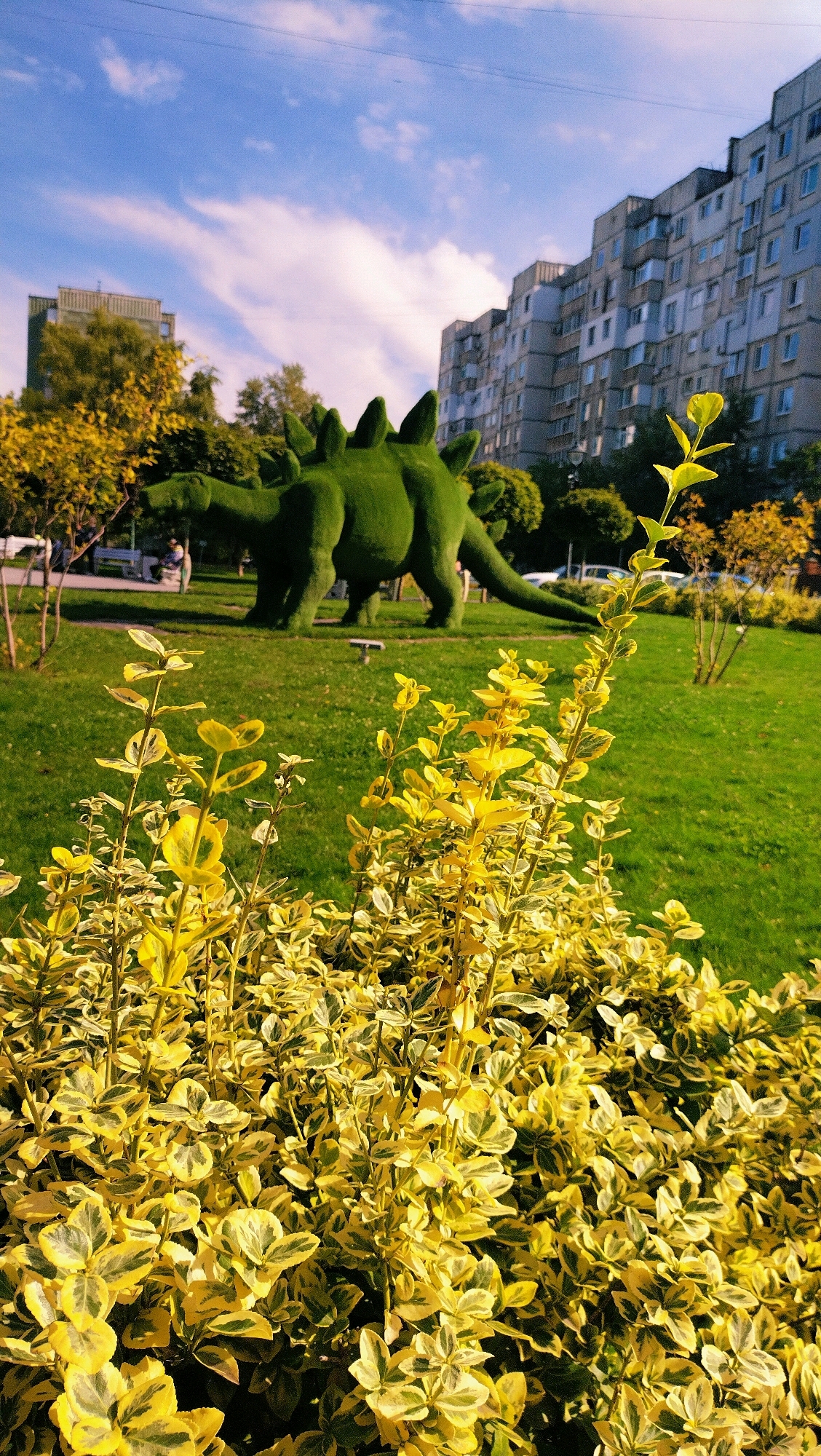 In the city of Horishni Plavni, Ukraine, a green topiary sculpture of a Stegosaurus stands in a park. The sculpture is made of dense, dark green foliage and is positioned on a manicured lawn. In the foreground, a bush with variegated yellow and green leaves is in sharp focus, obscuring part of the middle ground. Behind the Stegosaurus, several apartment buildings are visible, their facades appearing weathered. The sky above is a bright blue with scattered white clouds. The scene suggests a public park setting, likely a city park, given the presence of the apartment buildings.