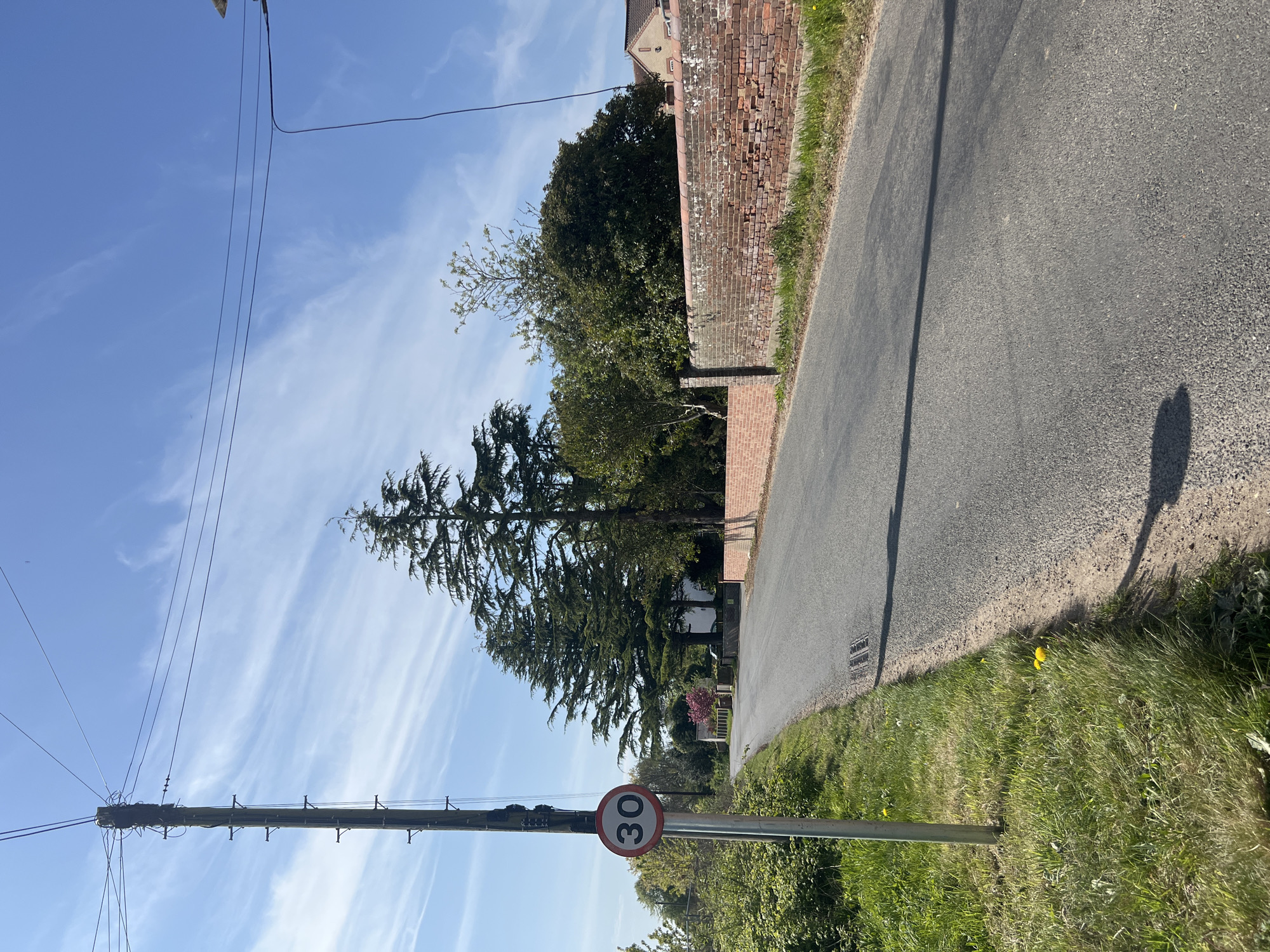 The scene depicts a rural road in North Norfolk, United Kingdom. A gray asphalt road runs along the right side of the image, bordered by a grassy verge. A red brick wall and some trees are visible adjacent to the road. A tall evergreen tree dominates the midground. A utility pole with power lines stretches across the upper left of the frame. A circular road sign indicating a speed limit of 30 is affixed to a metal pole in the foreground. The sky is blue with wispy clouds. No people are visible.