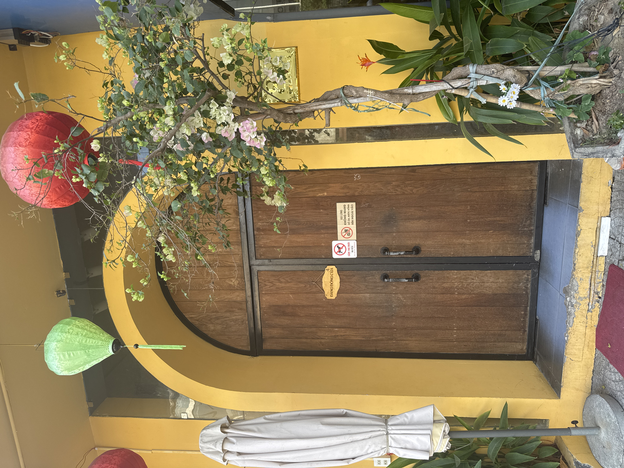 The image depicts an entrance to a building, likely in Đà Nẵng, Vietnam, as evidenced by the lanterns and signage. The building's facade is painted yellow, and the entrance features a pair of dark wood doors framed in black metal. The doors have black metal handles and two signs. The top sign has writing in Vietnamese and English; the bottom sign reads “ĐANG ĐÓNG CỬA." A tree with sparse foliage and pink and white blossoms overhangs the doorway. To the left, hanging from the ceiling, are a red and a green lantern. To the right, a planter is located next to the entrance, containing greenery. An umbrella and plants are located at the bottom of the image. The scene appears to be taken during the daytime.