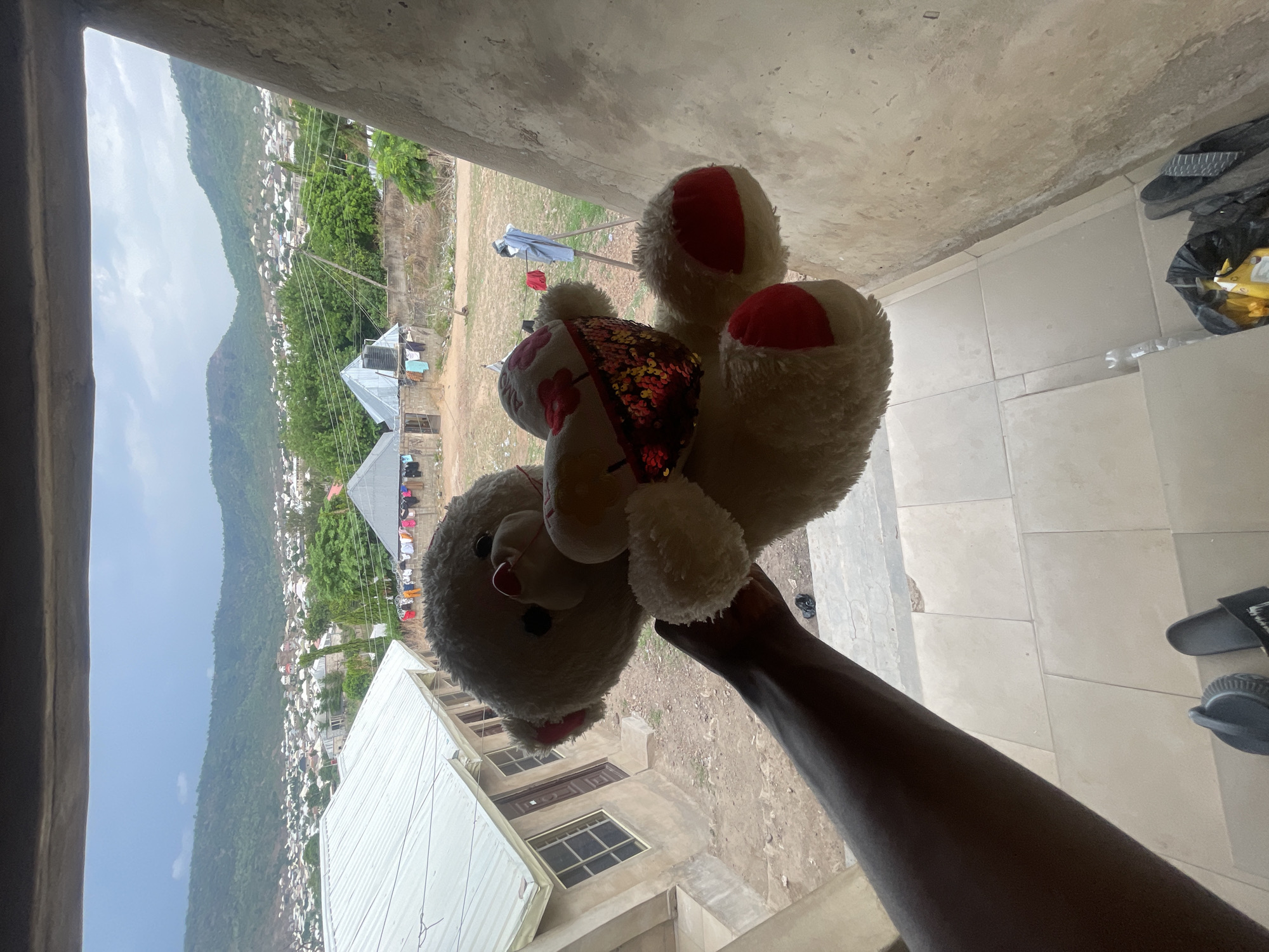 This image offers a first-person perspective looking out from an elevated opening, possibly a window or balcony, in Lokoja, Nigeria. A dark-skinned arm extends into the frame, holding a light-colored teddy bear. The teddy bear has distinctive red patches on its ears and feet, along with a shimmery, multi-colored sequined bow around its neck.
The immediate foreground shows parts of an unpainted concrete wall framing the view, and a tiled floor section with a pair of dark slippers and a black plastic bag.
Beyond this interior space, a panoramic view of a town or village unfolds, set against a backdrop of lush green hills and mountains under an overcast or partly cloudy sky. The landscape is dotted with numerous buildings, many featuring light-colored or corrugated metal roofs. In the mid-ground, a multi-story building with several windows and dark-colored doors is visible. Further out, clothes can be seen drying on a line near a smaller structure. Utility poles and wires are also visible, running through the settlement.
The scene depicts a daytime setting, capturing a slice of life and the geographical features of Lokoja, Nigeria. There is no visible text in the image.