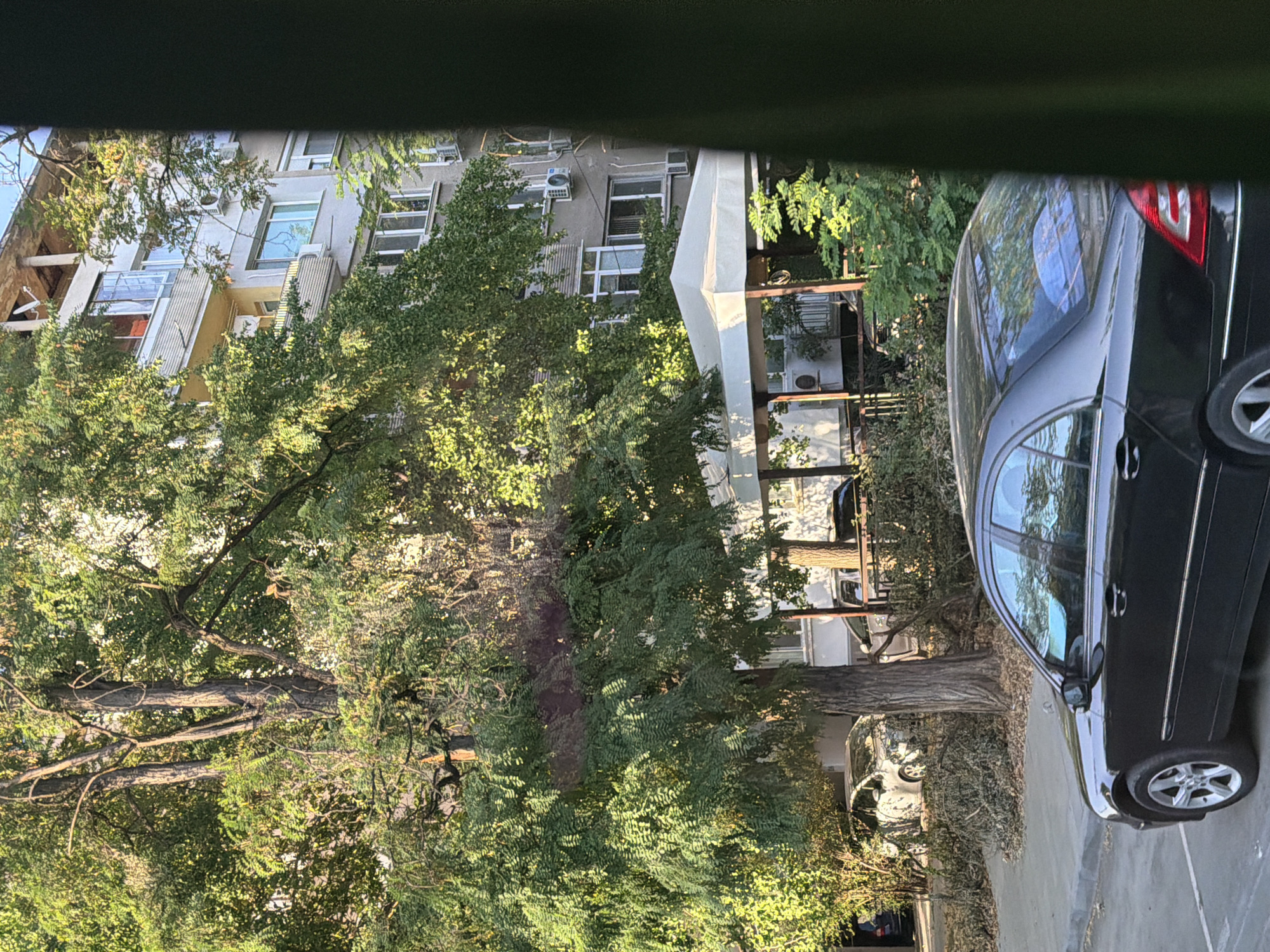 This is a medium shot of a street scene in the city of Plovdiv, Bulgaria, captured from a slightly elevated, interior vantage point, likely a window. The foreground is dominated by the rear passenger side of a black Mercedes-Benz sedan, parked on a paved surface. To the left of the car, a sidewalk is visible, adjacent to a curb and a patch of ground covered in fallen branches and leaves.
Behind the car and sidewalk, a large, mature tree with dense green foliage occupies the left and central portions of the image. The tree's trunk is thick and textured. Further back, a light-colored, multi-story building with balconies and numerous windows is partially obscured by the tree and more greenery. Air conditioning units are visible on the building's exterior. A white-covered gazebo or awning structure is situated between the tree and the building.
In the background, beyond the gazebo, other vehicles are parked, including a light-colored sedan and a darker SUV. The overall lighting suggests it is daytime, with sunlight filtering through the trees, creating dappled light and shadows. The image is framed on the right by a dark green vertical element, possibly a curtain or a window frame, suggesting the viewpoint is from inside a building. No people are visible in the scene.