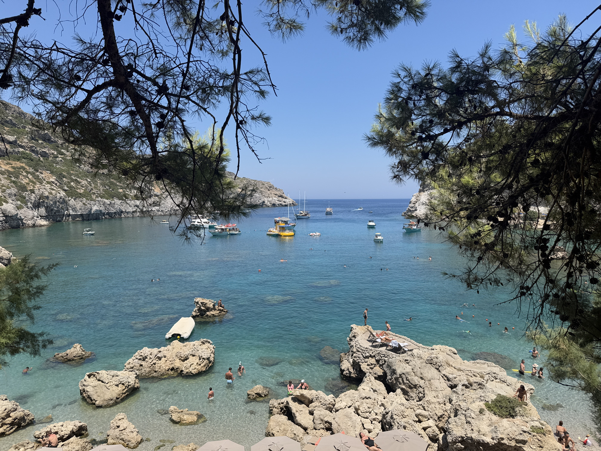 The image depicts a scenic bay on the island of Rhodes, Greece, likely Anthony Quinn Bay, known for its crystal-clear turquoise waters and rocky coastline. The foreground is framed by the dark silhouettes of pine tree branches, creating a natural window onto the scene.
The bay is dotted with numerous boats, including sailboats and smaller motorboats, anchored in the tranquil water. A vibrant yellow boat stands out among the others. Several people are visible enjoying the water, swimming, snorkeling, and sunbathing on the rocks. One person is seen snorkeling with a mask and snorkel. Others are relaxing on sun loungers placed on a rocky outcrop.
The water is exceptionally clear, allowing the rocky seabed and submerged rocks to be visible. Large, light-colored boulders are scattered along the shore and within the water, forming natural platforms and obstacles. The coastline is characterized by rugged, vegetated cliffs rising from the sea. The sky above is a clear, bright blue. The overall atmosphere is one of a peaceful, idyllic summer day at a popular coastal destination.