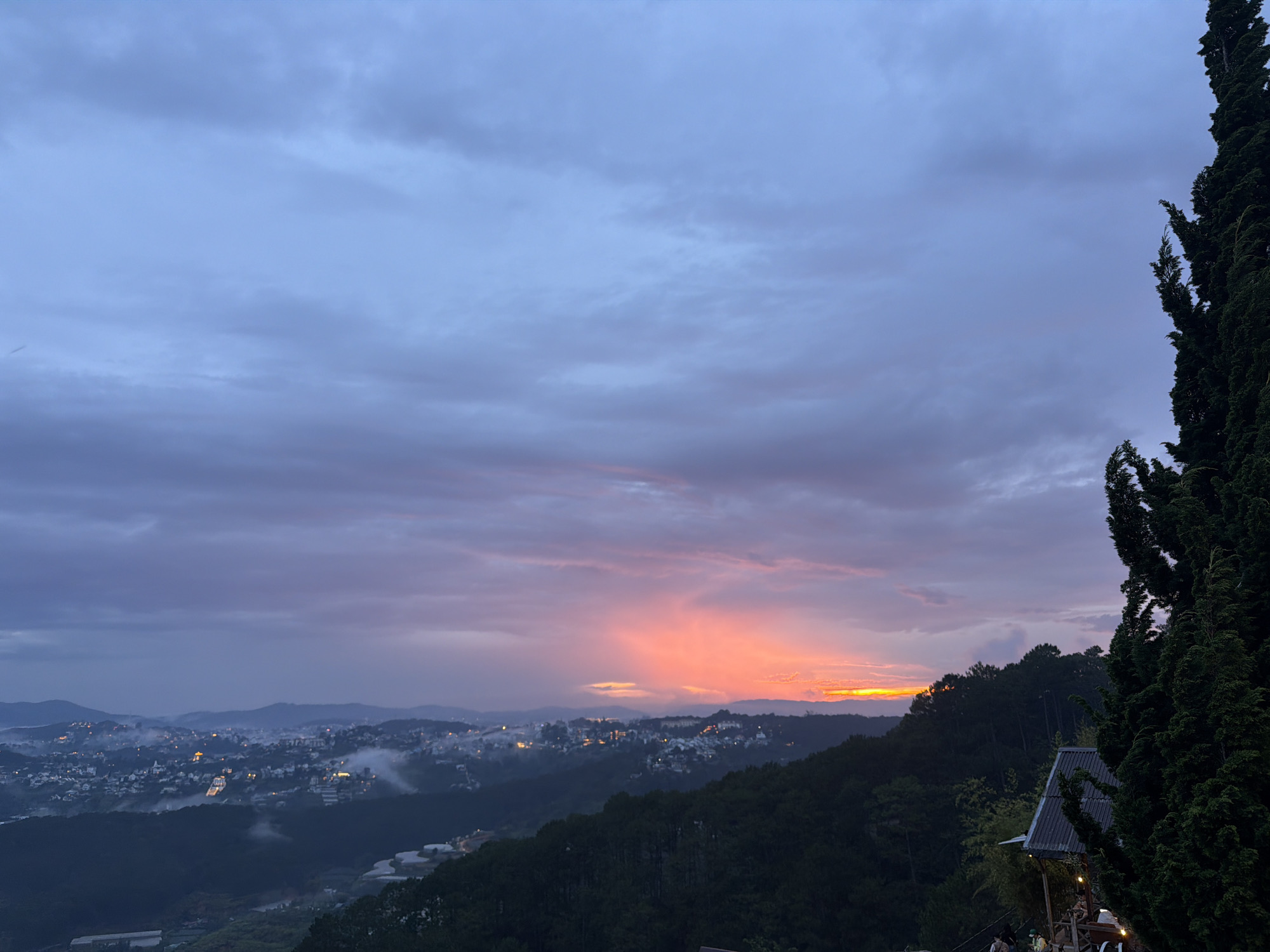 The image captures a panoramic view of the city of Da Lat, Vietnam, at dusk. In the foreground on the right, a tall, dark green cypress tree dominates the frame, its branches reaching upwards. Below the tree, a rustic, open-sided wooden structure with a dark, sloped roof is partially visible, suggesting a viewpoint or seating area, with at least two indistinct human figures at its base. The middle ground is occupied by a lush, dark green hillside covered in dense trees. Beyond this, the city of Da Lat unfolds across rolling hills, appearing as a patchwork of lights twinkling through a light mist. Buildings of various sizes are scattered throughout the landscape, some with illuminated windows. In the distance, layers of misty mountains fade into the twilight. The sky above is a dramatic canvas of swirling clouds, transitioning from a deep blue at the top to hues of soft pink, orange, and yellow near the horizon where the sun has recently set. The light is diffused, creating a serene and atmospheric mood.
