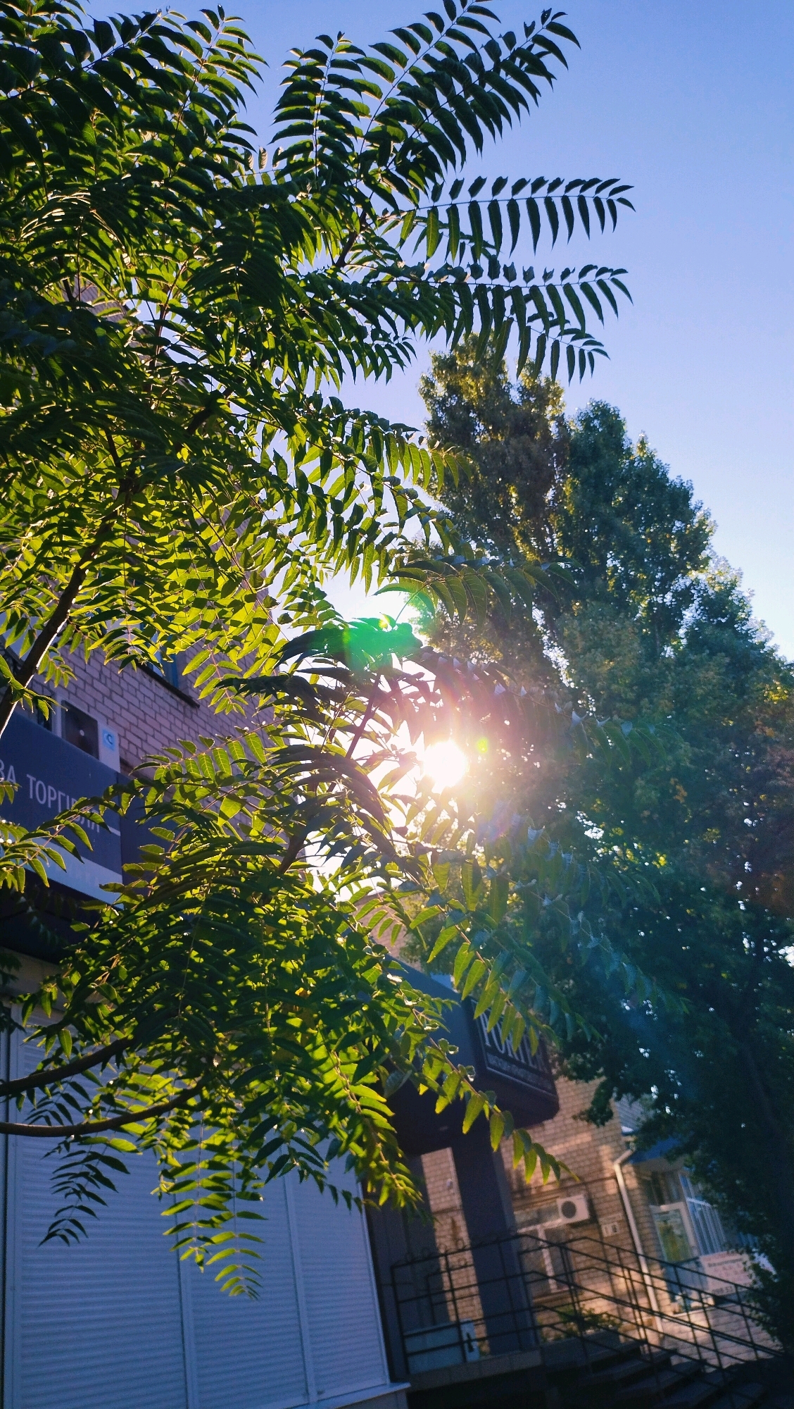 This is a low-angle, natural-light photograph taken outdoors in the city of Horishni Plavni, Ukraine. The image features lush green foliage from a tree in the foreground, with the bright sun shining through the leaves, creating lens flare. In the background, a brick building with blue accents and white shutters is visible. A dark-colored awning with text on it is mounted above the building's entrance. A metal railing leads up a set of stairs to an upper level of the building, and an air conditioning unit is mounted on the wall. The sky is a clear, light blue. No people are present in the image.
