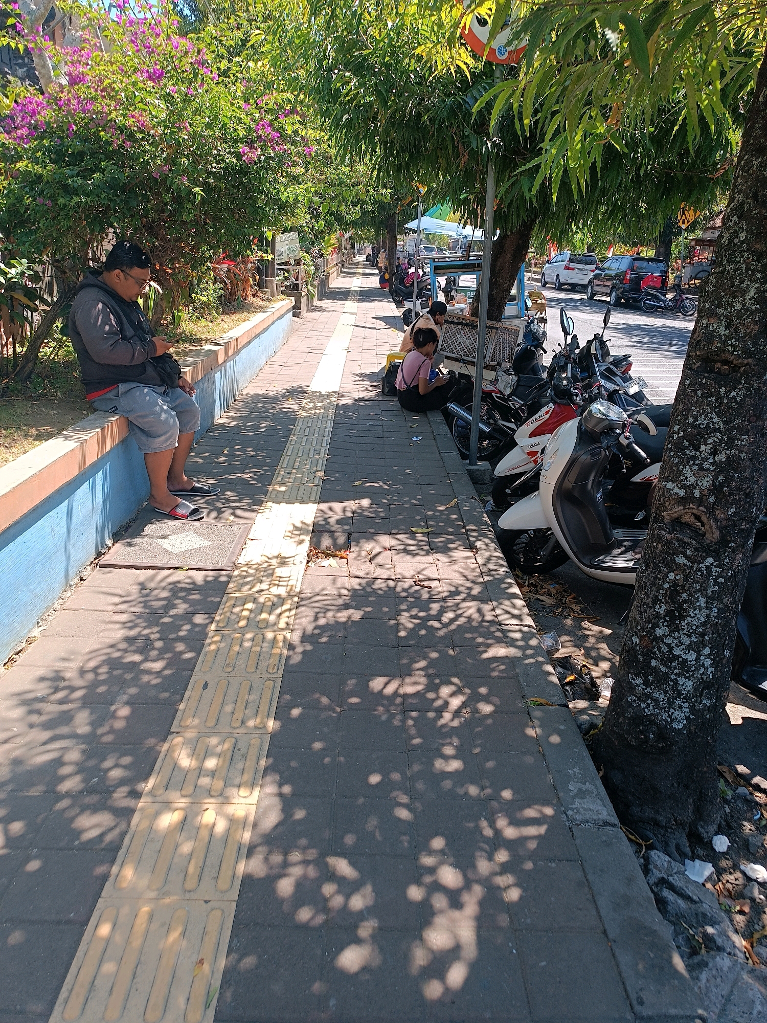 In Tabanan, Indonesia, a paved sidewalk with tactile paving runs alongside a road. A man wearing glasses, a grey hoodie, and grey shorts sits on a low wall, looking at his phone. He is barefoot except for flip-flops. Behind him, flowering purple and pink bougainvillea bushes are visible. Further down the sidewalk, two people, one wearing a pink t-shirt and the other a light brown top, are seated on the ground near parked motorcycles. The motorcycles, including a white scooter and a red and white Yamaha motorcycle, are parked along the curb. Trees with dense green foliage cast dappled shadows on the sidewalk and road. Cars are visible on the road in the background. The scene depicts a typical urban streetscape with pedestrian activity and parked vehicles under the shade of trees.