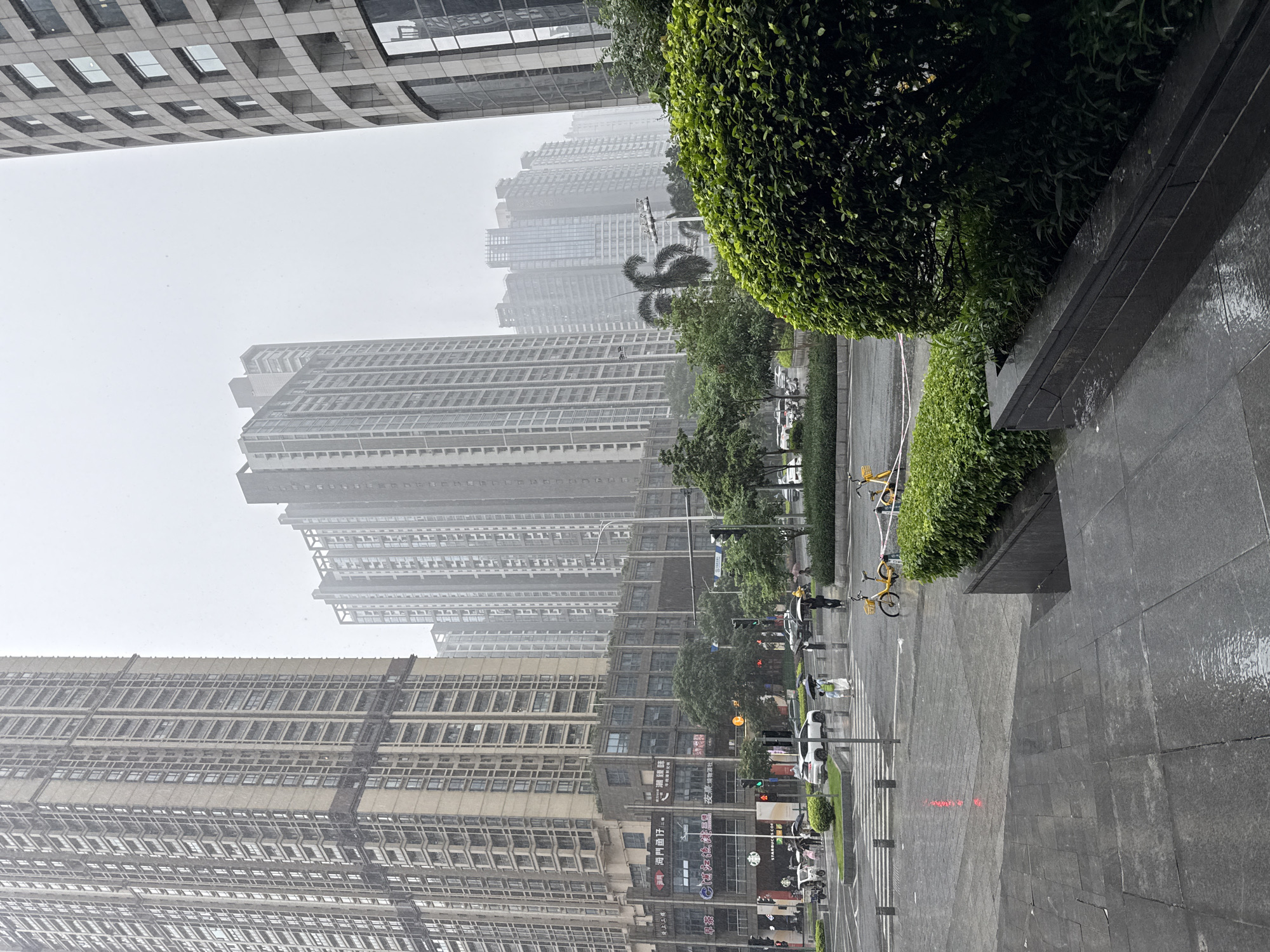 The image depicts a street scene in Tianhe District, China, during a rainy day. Tall, modern buildings dominate the background, characterized by repetitive window patterns and varying architectural styles. The foreground features a wet, paved sidewalk and street, reflecting the overcast sky and the surrounding structures. Several vehicles, including cars and what appear to be electric scooters, are present on the road. Pedestrians are seen with umbrellas, indicating the ongoing precipitation. Two yellow bicycles are parked near a lush, green hedge in the right portion of the frame. The overall atmosphere is one of a bustling urban environment experiencing inclement weather.