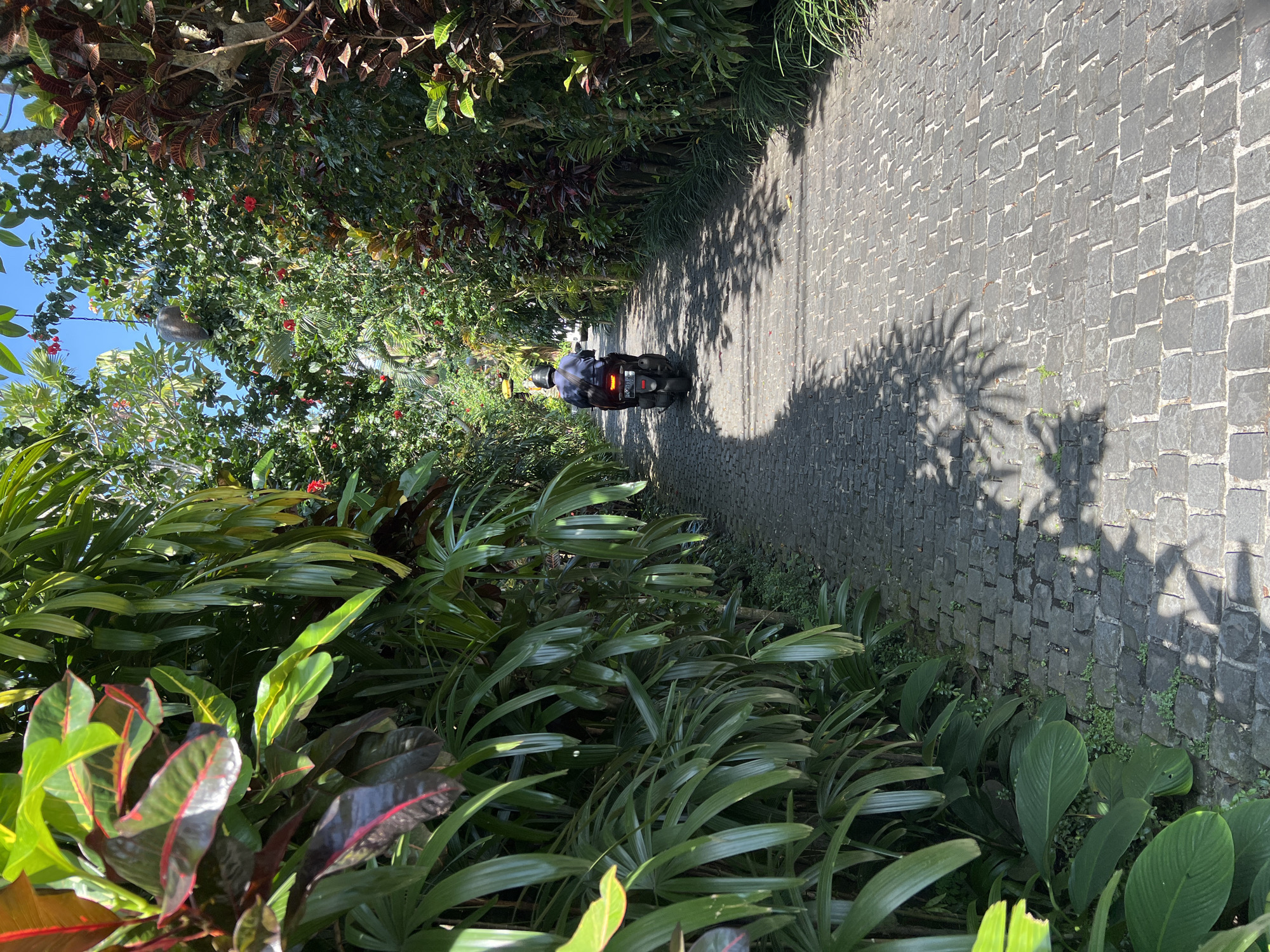 A vertical, eye-level photograph depicts a stone-paved road receding into the distance in Petulu, Indonesia. A lone figure on a moped travels down the road away from the viewer. The road is lined on both sides with lush, green vegetation, and shadows from the trees above cast intricate patterns on the cobblestone path. The sky is visible in the upper left corner, revealing a clear, blue expanse. The overall impression is one of a peaceful, verdant landscape with a person traveling through the scene on a moped.