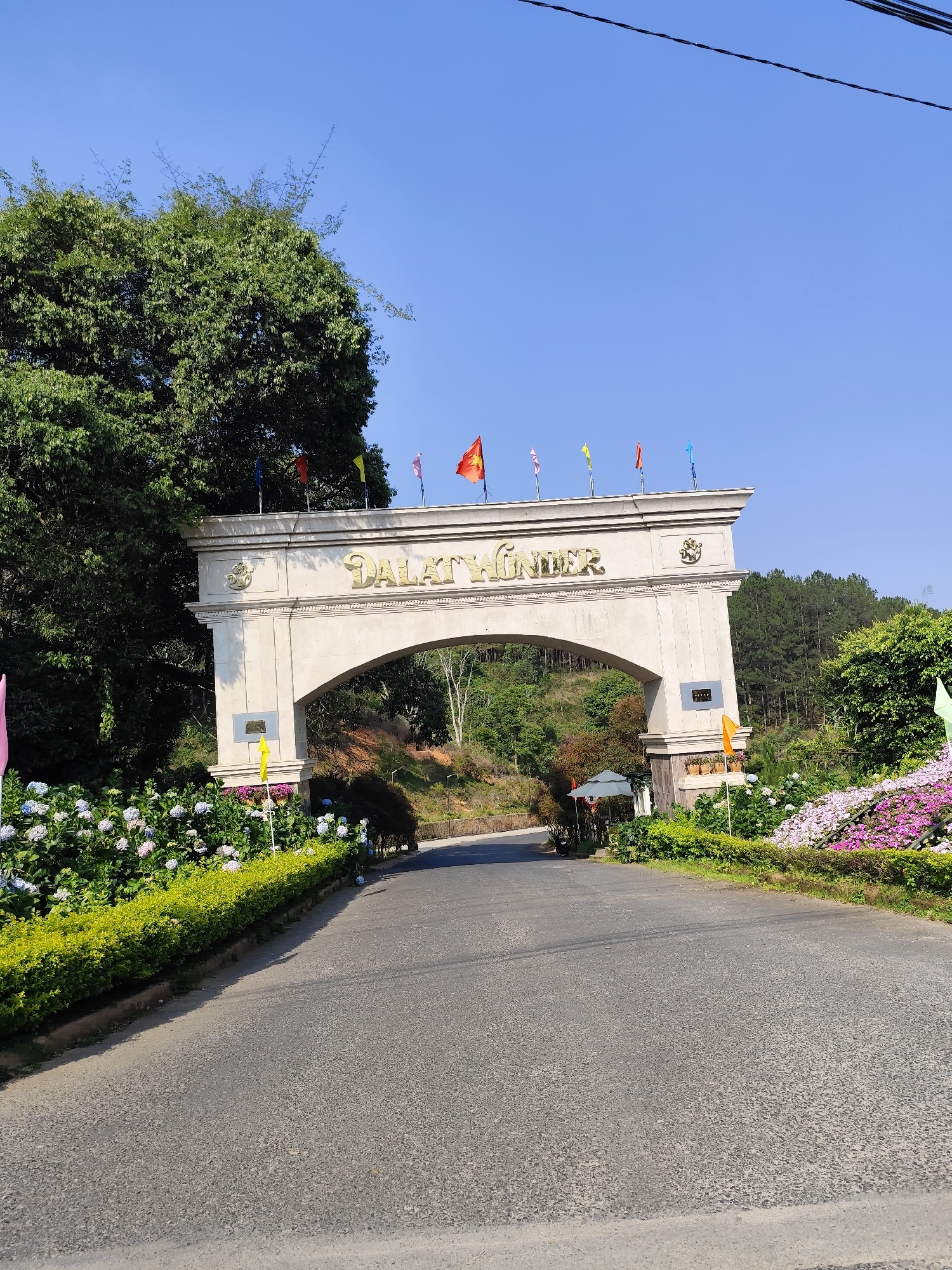The image shows an entrance gate to "DALAT WONDER" in Da Lat, Vietnam. The gate is made of light-colored stone or concrete, with golden lettering that reads "DALAT WONDER" across the top. Several small, colorful flags are positioned along the top edge of the gate. The entrance is flanked by flowerbeds with a variety of colorful flowers and greenery. The road leads through the gate and into a forested area with rolling hills. The sky is clear and blue. There are no people visible in the image.